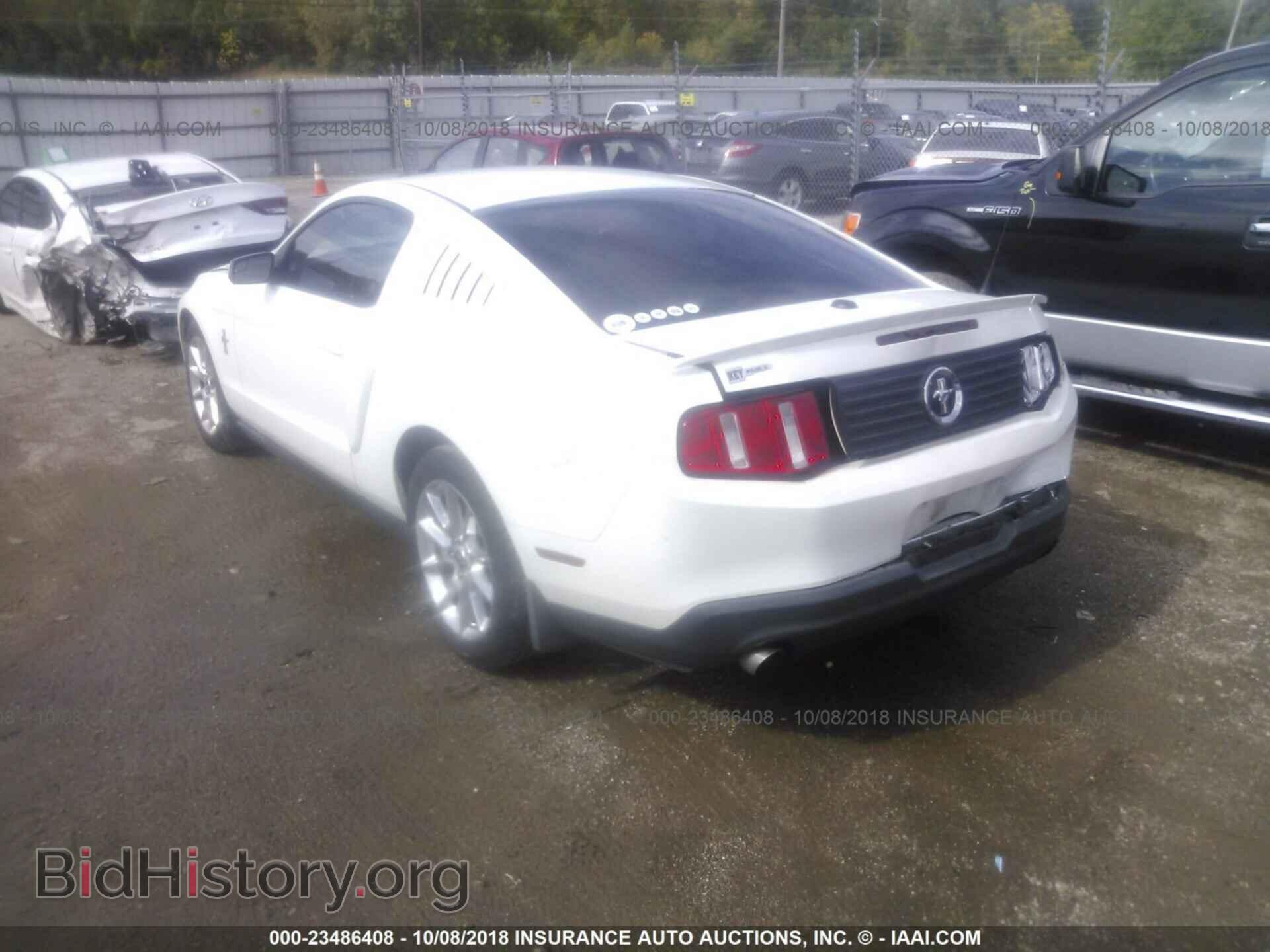 2011 FORD MUSTANG - VIN: 1ZVBP8AM0B5147846 - Фото 3