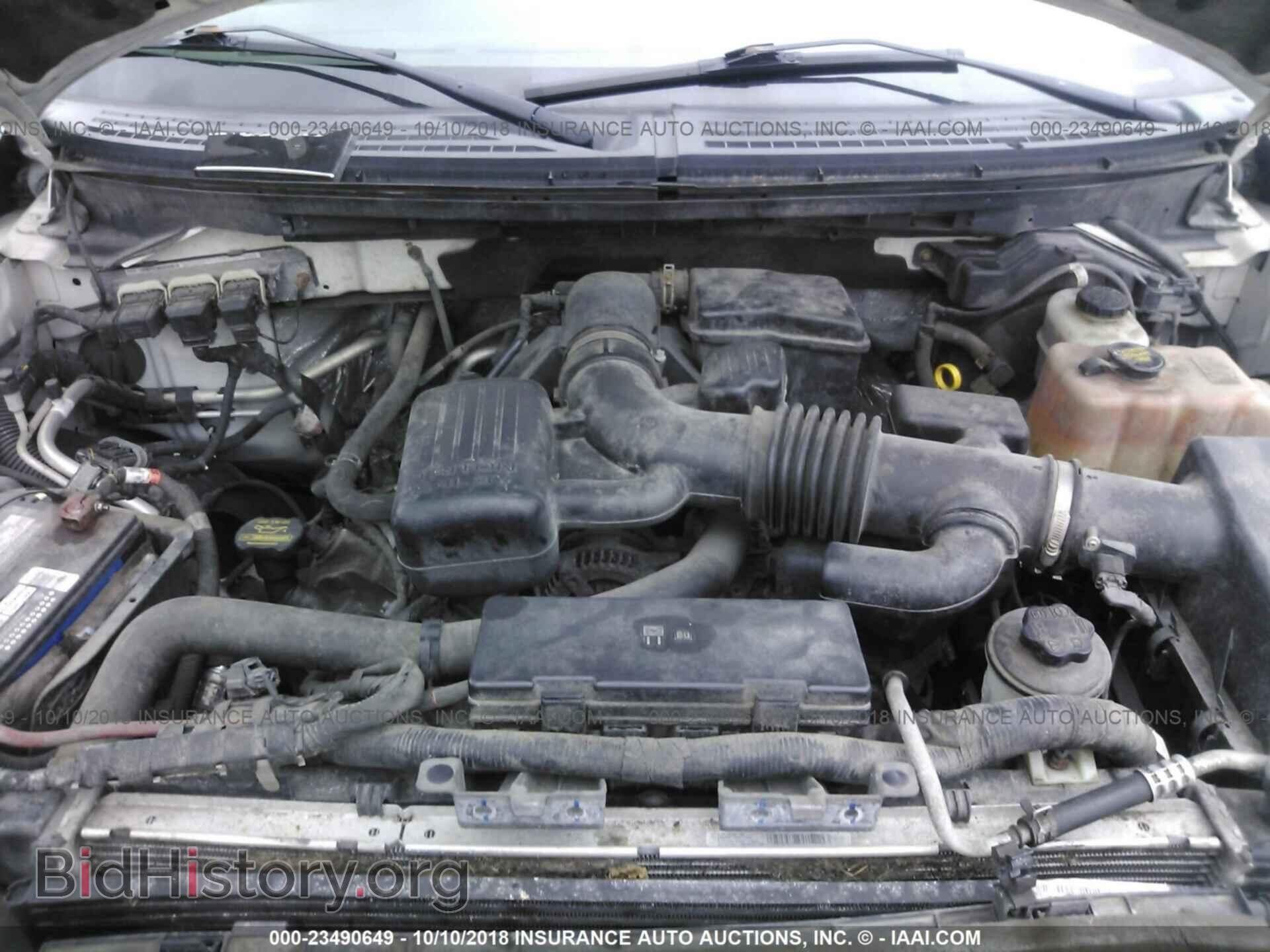 2010 FORD F150 - VIN: 1FTFW1EV7AFD17095 - Фото 10