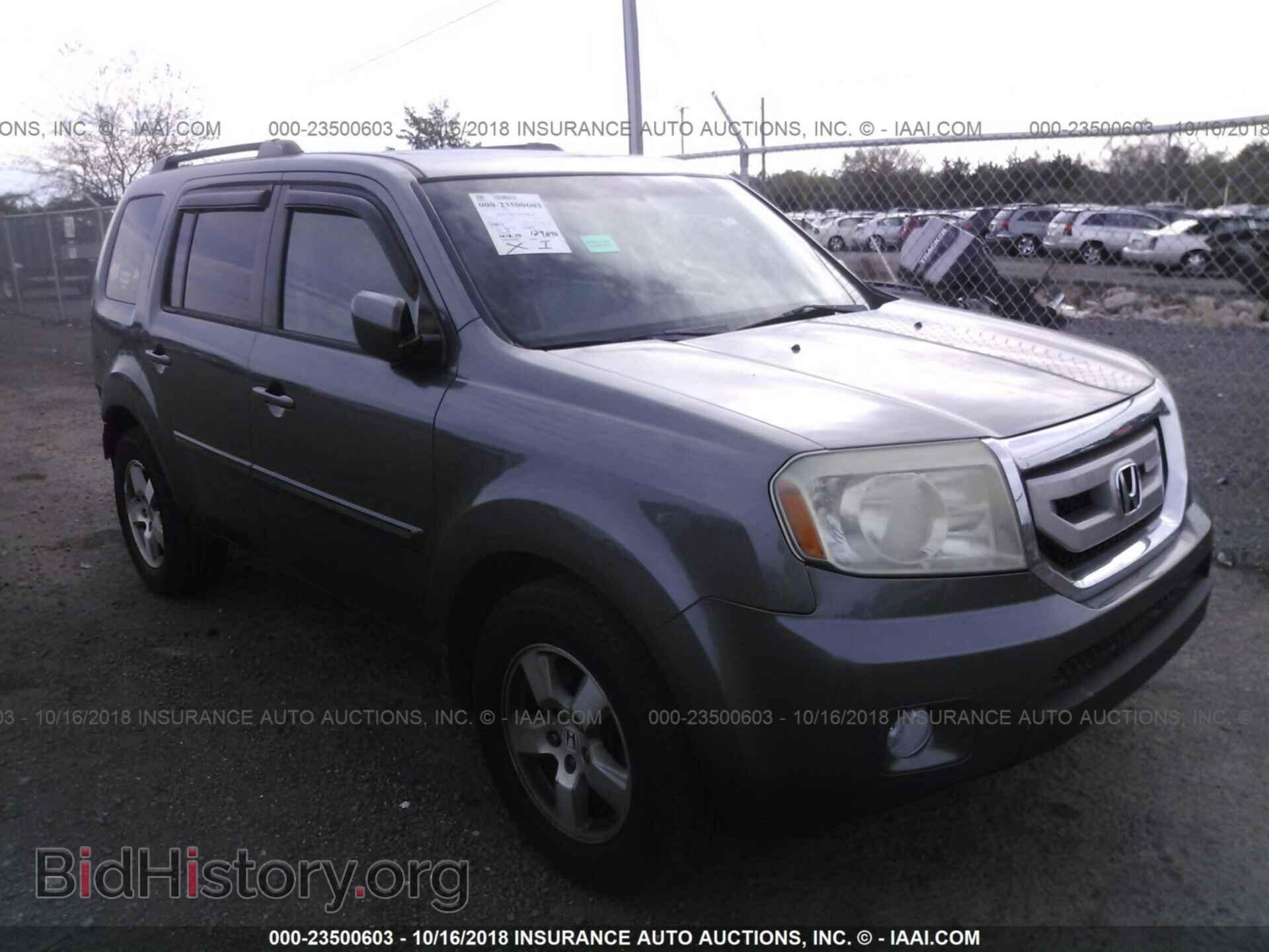 Фотография 5FNYF3H51BB018868 - Honda Pilot 2011