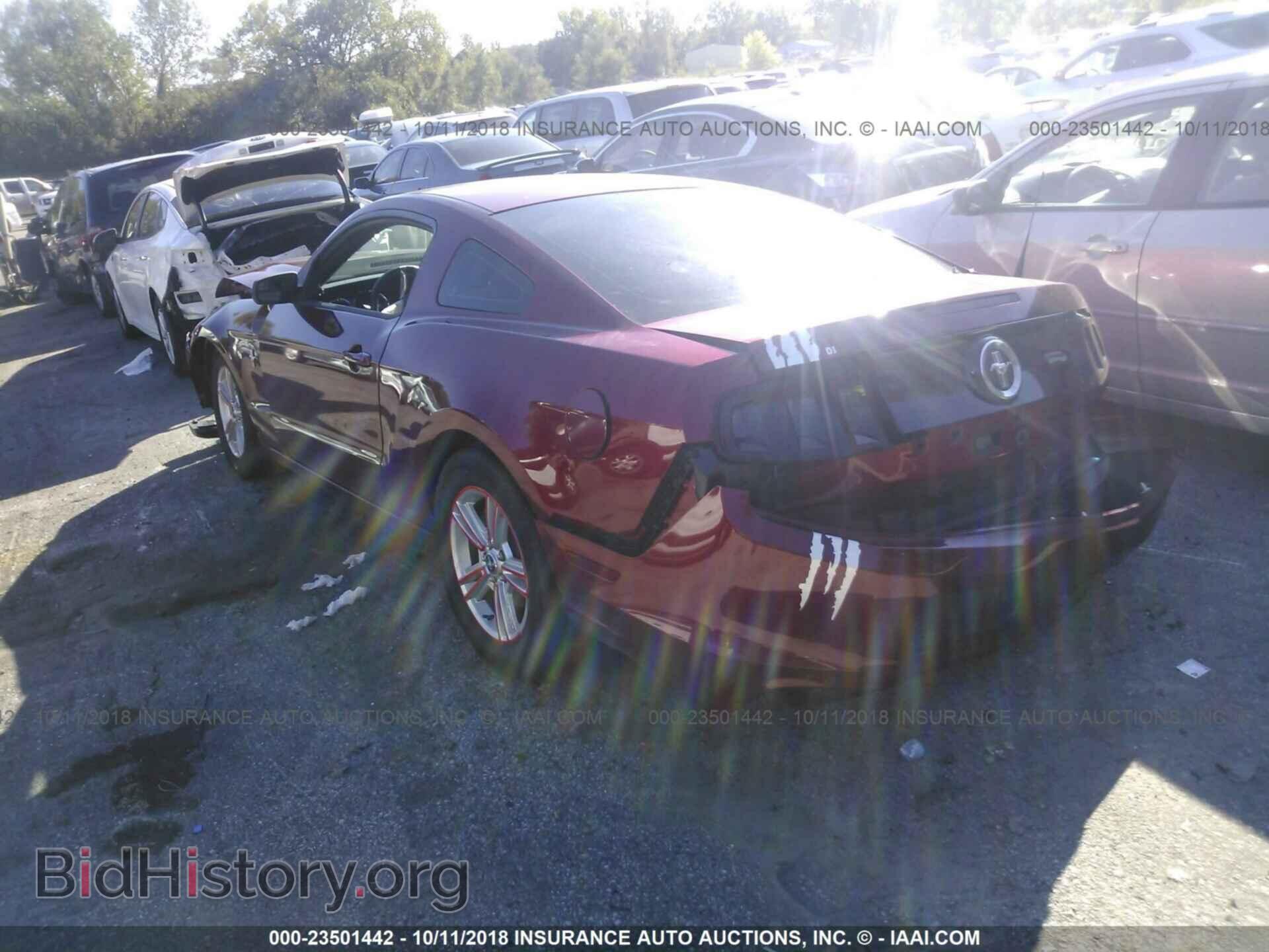2014 FORD MUSTANG - VIN: 1ZVBP8AM0E5328885 - Фото 3
