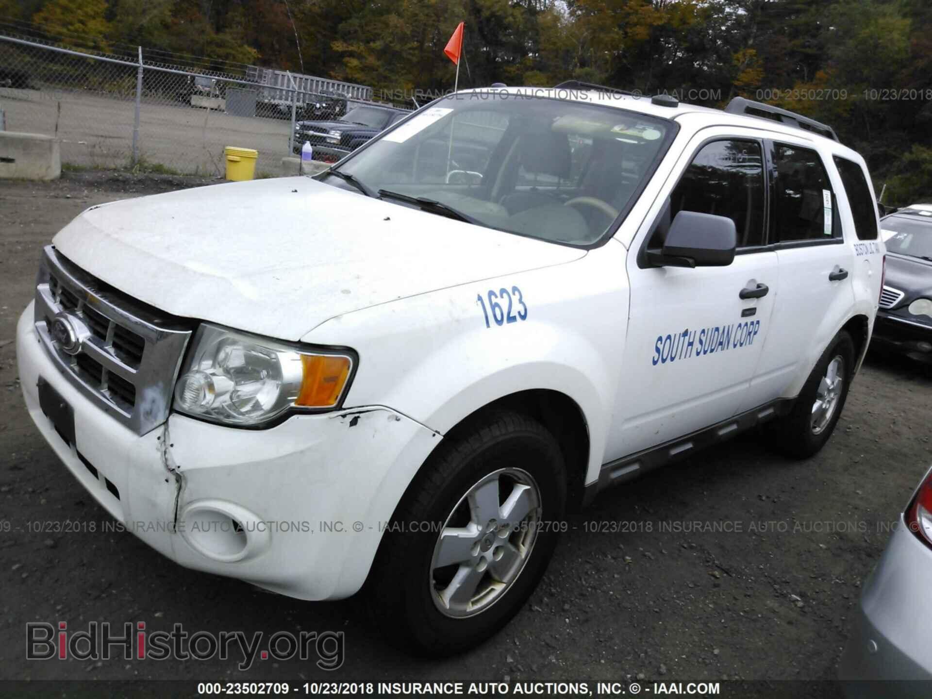 2011 Ford Escape - VIN: 1FMCU9DG2BKA45084 - Photo 2
