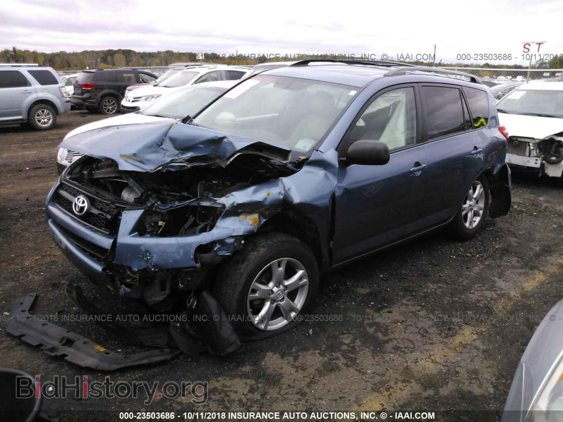 2011 Toyota Rav4 - VIN: 2T3BF4DV2BW101625 - Фото 2
