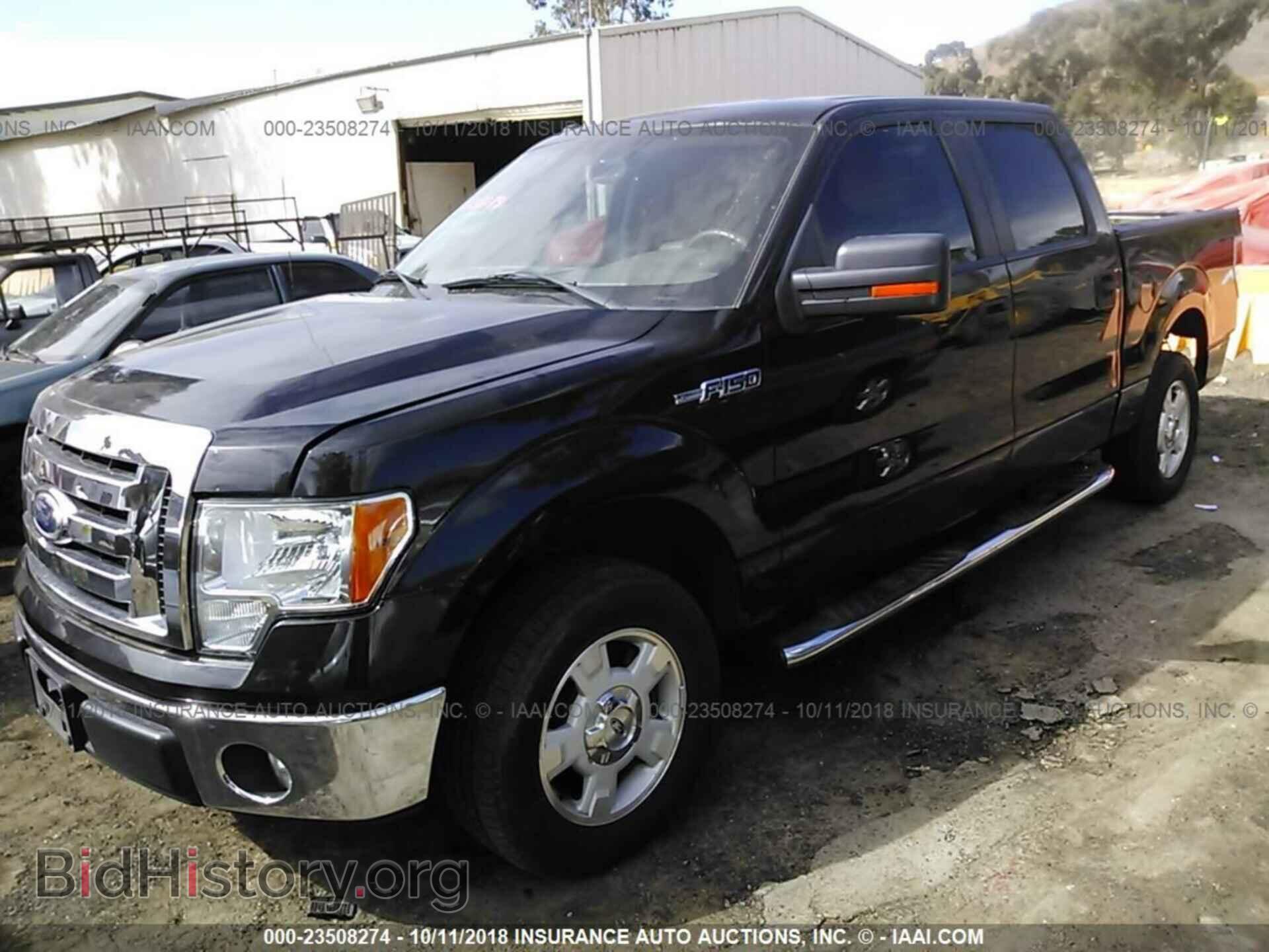 2011 FORD F150 - VIN: 1FTEW1CM4BFA69766 - Фото 2