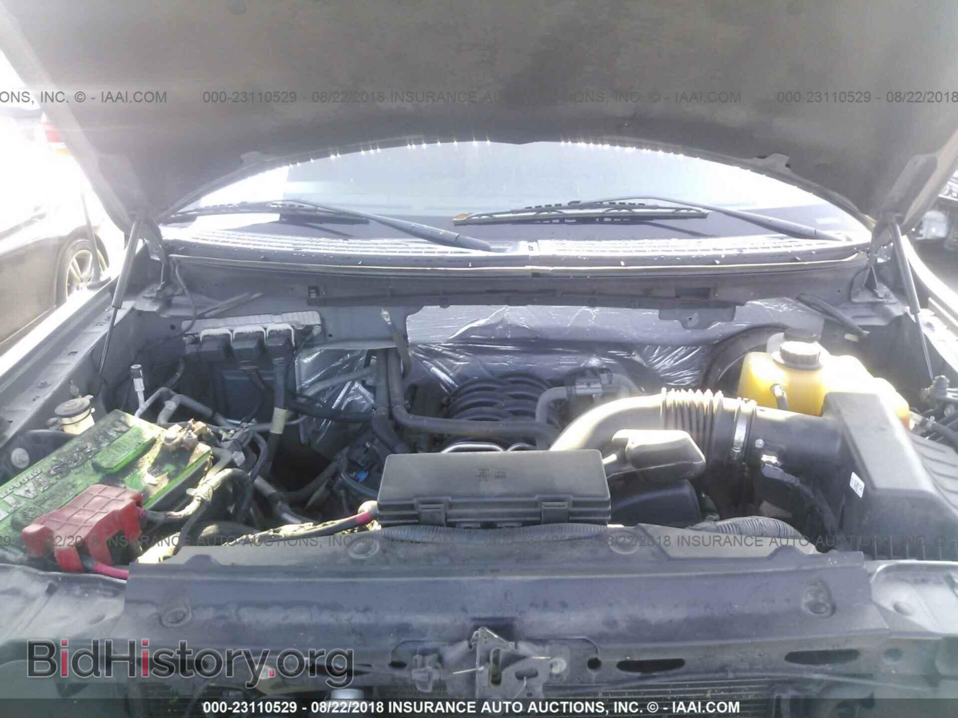 2013 FORD F150 - VIN: 1FTFX1CF4DFD81320 - Фото 10