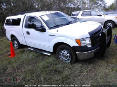 2013 Ford F150, белый — VIN 1FTMF1CM2DFA51135, IAAI
