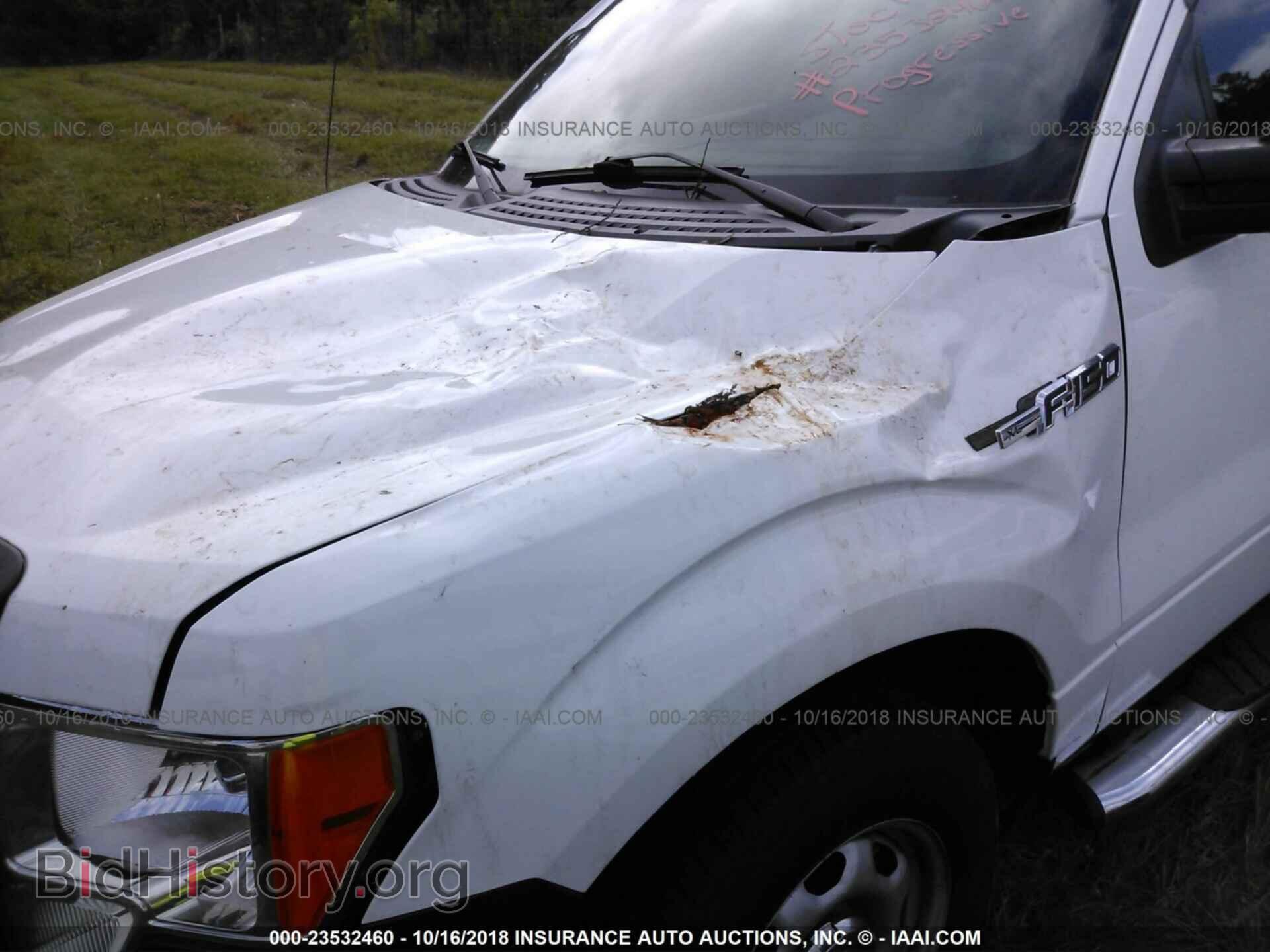 2013 Ford F150 - VIN: 1FTMF1CM2DFA51135 - Photo 6