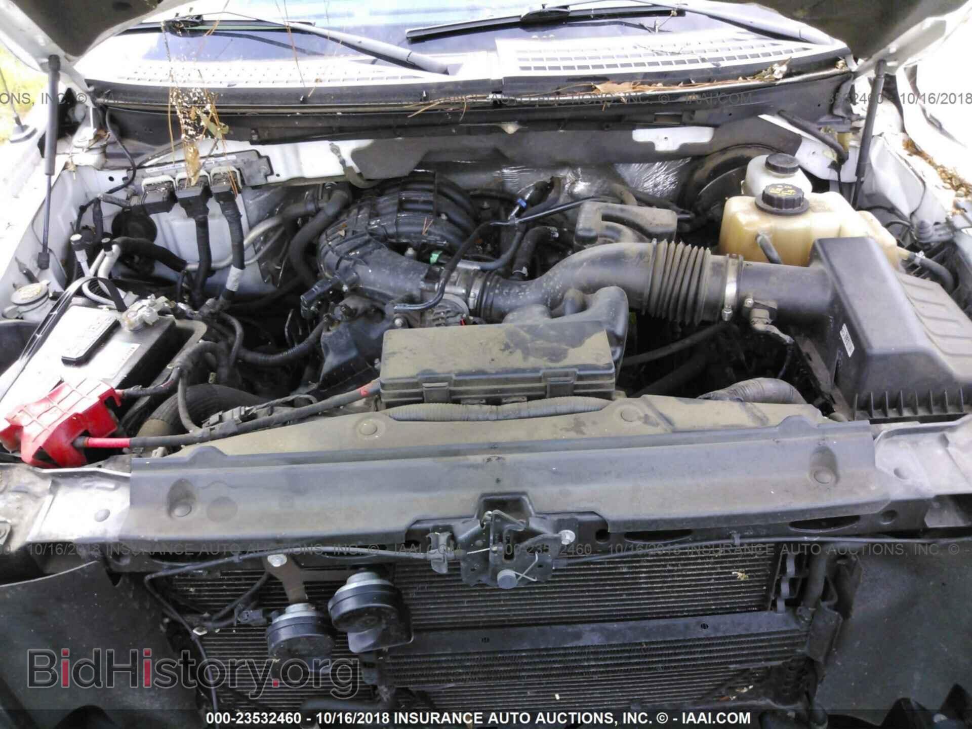 2013 Ford F150 - VIN: 1FTMF1CM2DFA51135 - Photo 10