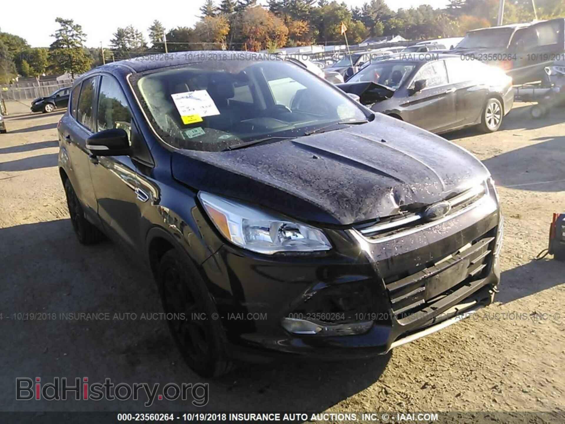 Photo 1FMCU9HX0DUC98020 - Ford Escape 2013