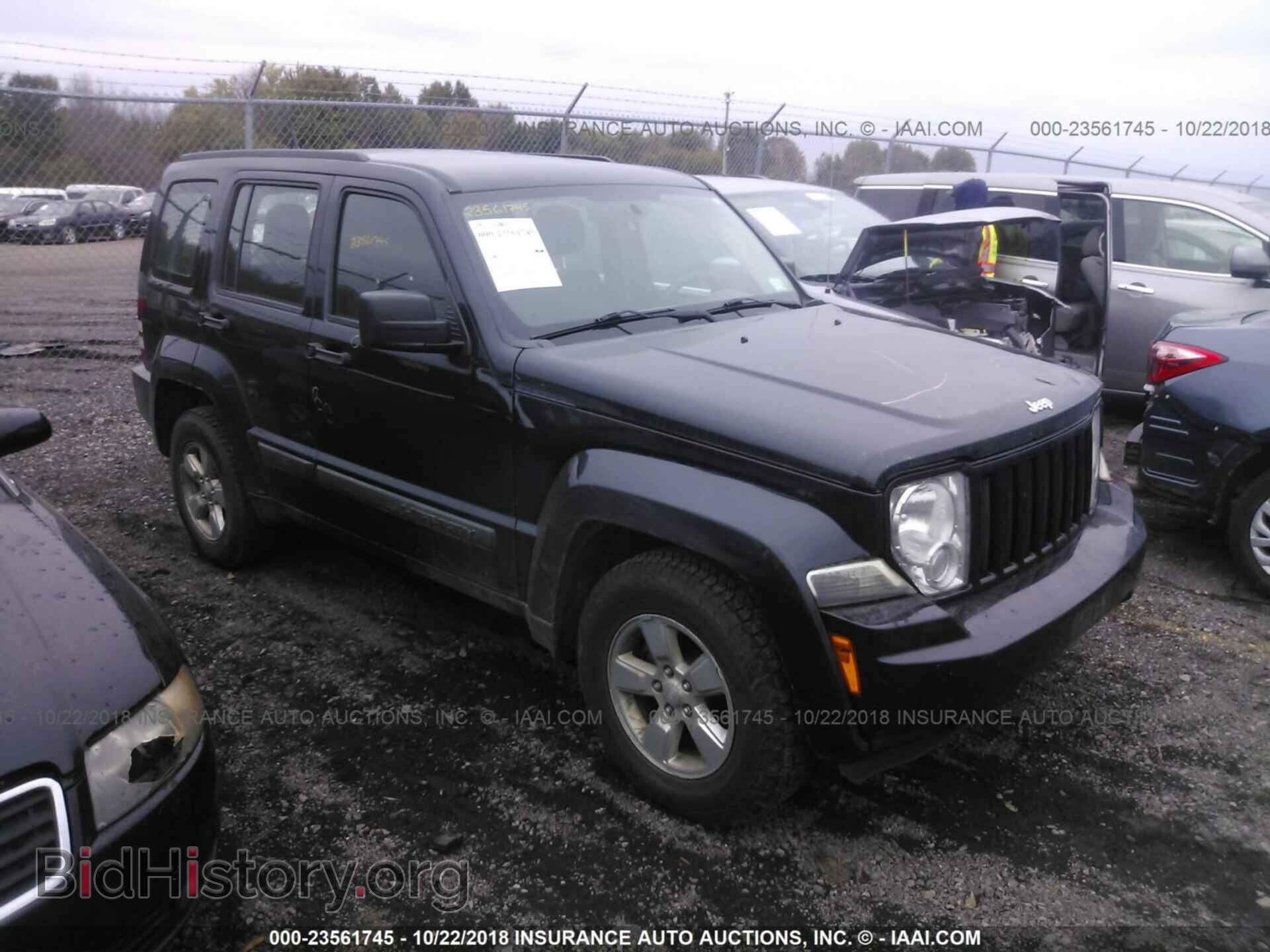 Фотография 1J4PN2GK7BW551992 - Jeep Liberty 2011