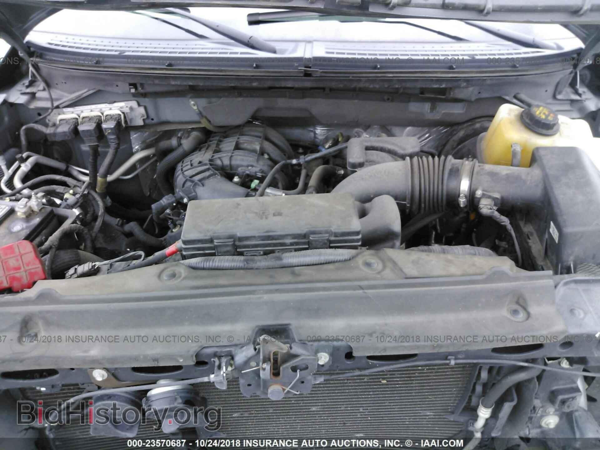 2014 Ford F150 - VIN: 1FTEW1CM4EFA63244 - Фото 10