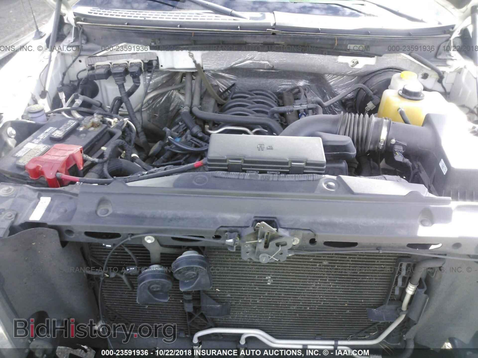 2014 Ford F150 - VIN: 1FTNF1CF8EKF68017 - Фото 10