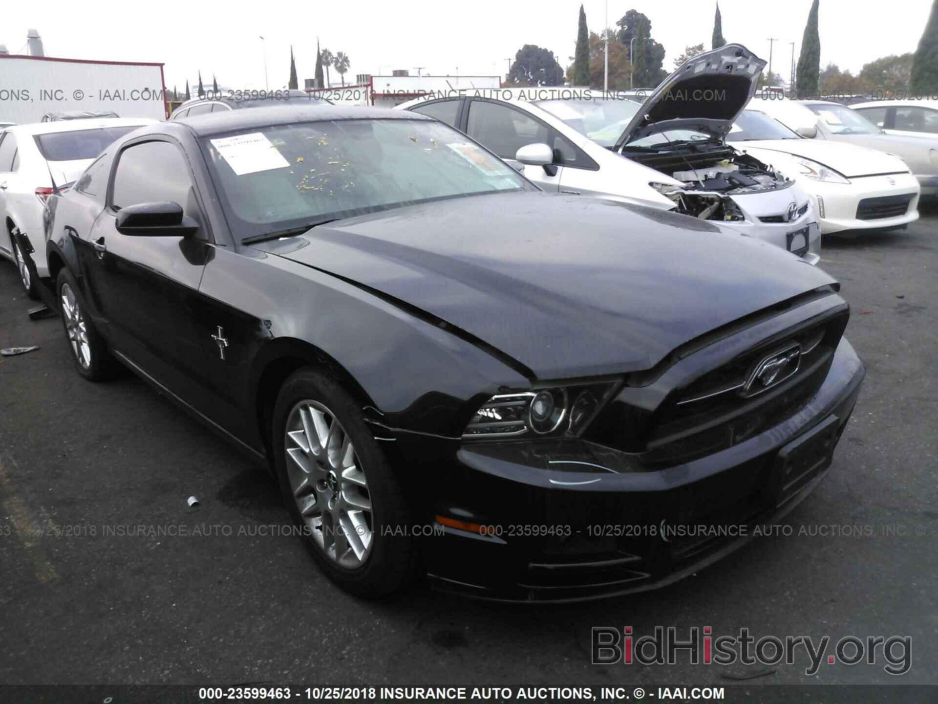 Photo 1ZVBP8AMXD5245074 - FORD MUSTANG 2013
