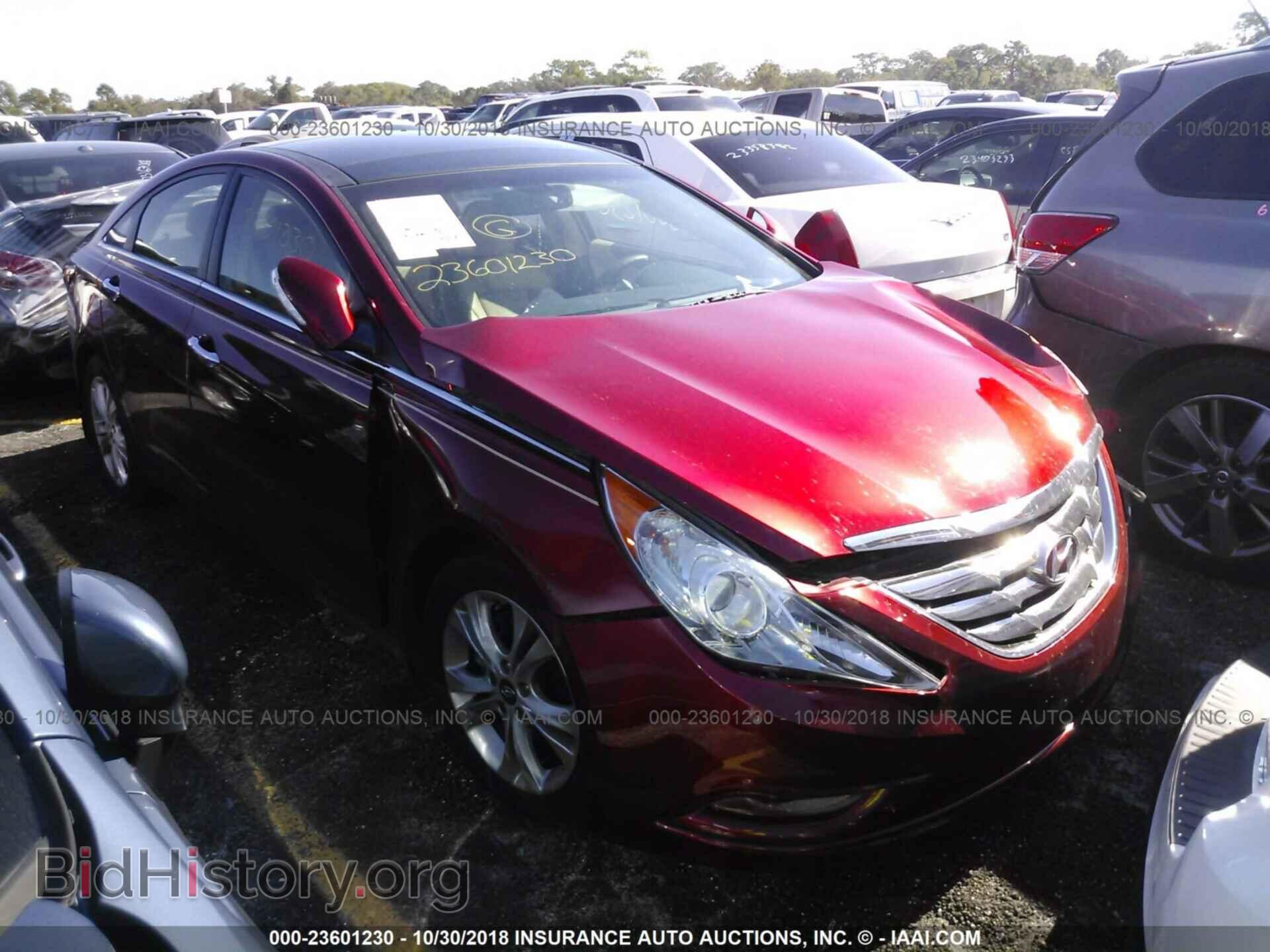 Фотография 5NPEC4AC2CH355613 - Hyundai Sonata 2012