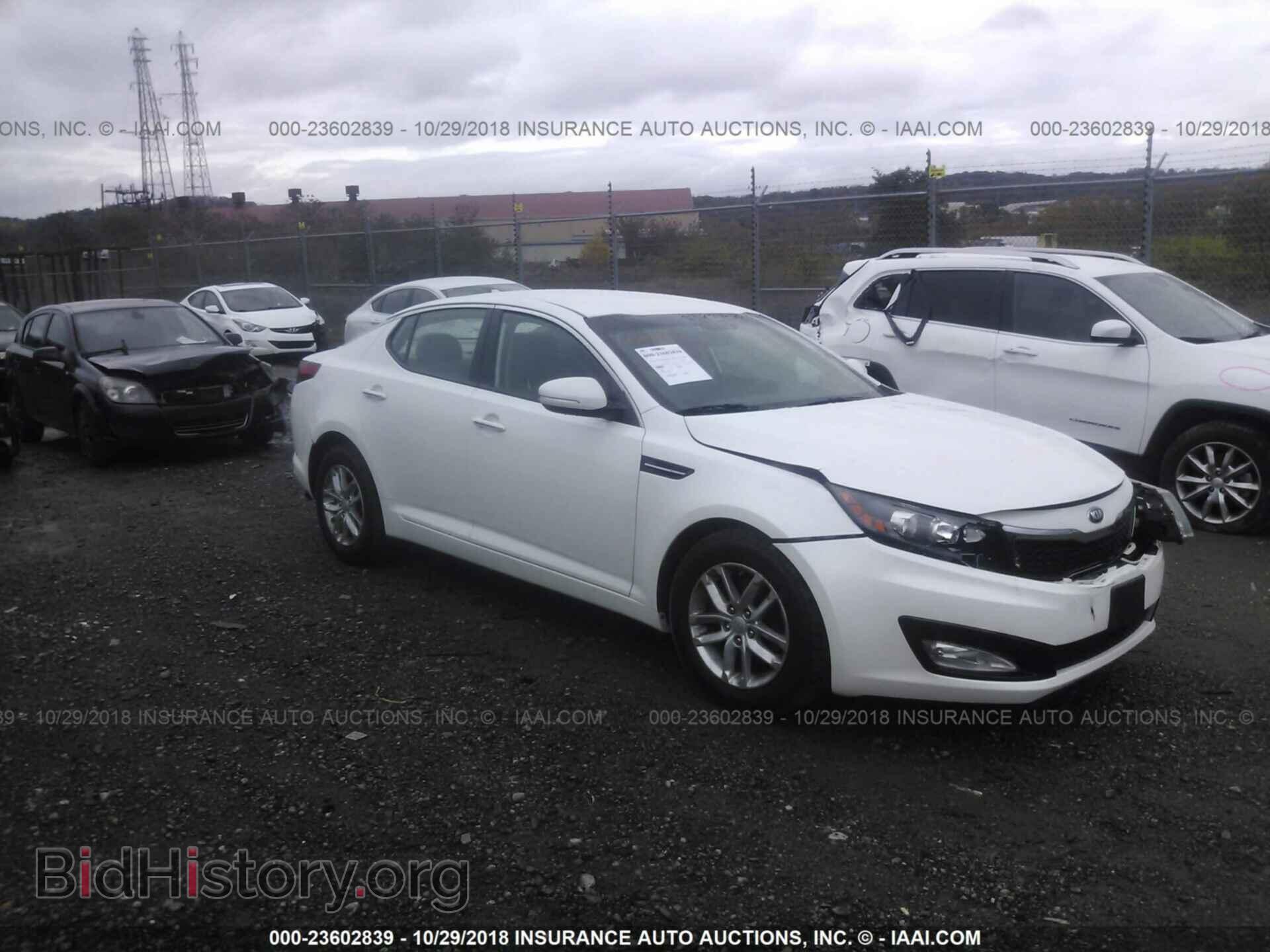 Фотография KNAGM4A76D5371207 - Kia Optima 2013