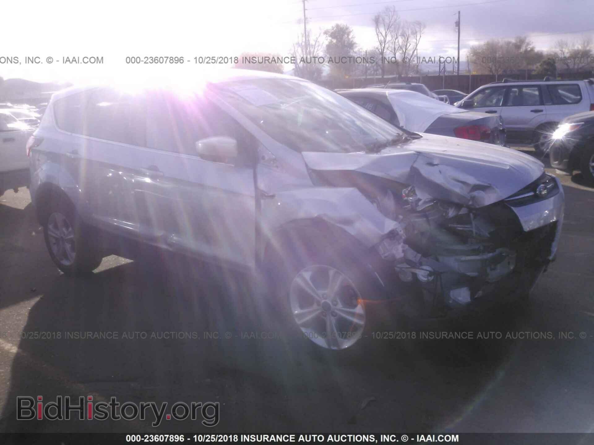 Фотография 1FMCU0GX4EUC75256 - Ford Escape 2014