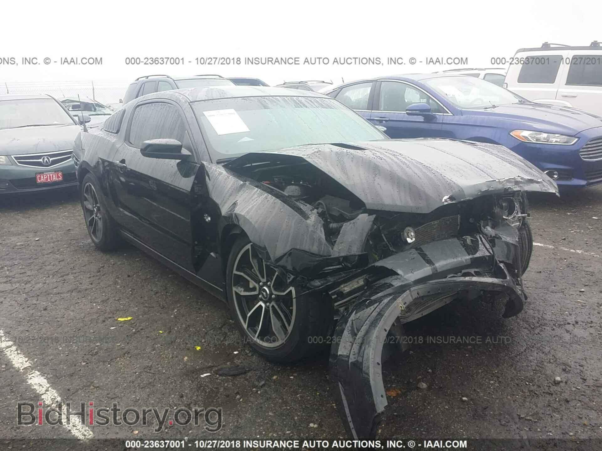 Фотография 1ZVBP8CF4E5225726 - FORD MUSTANG 2014