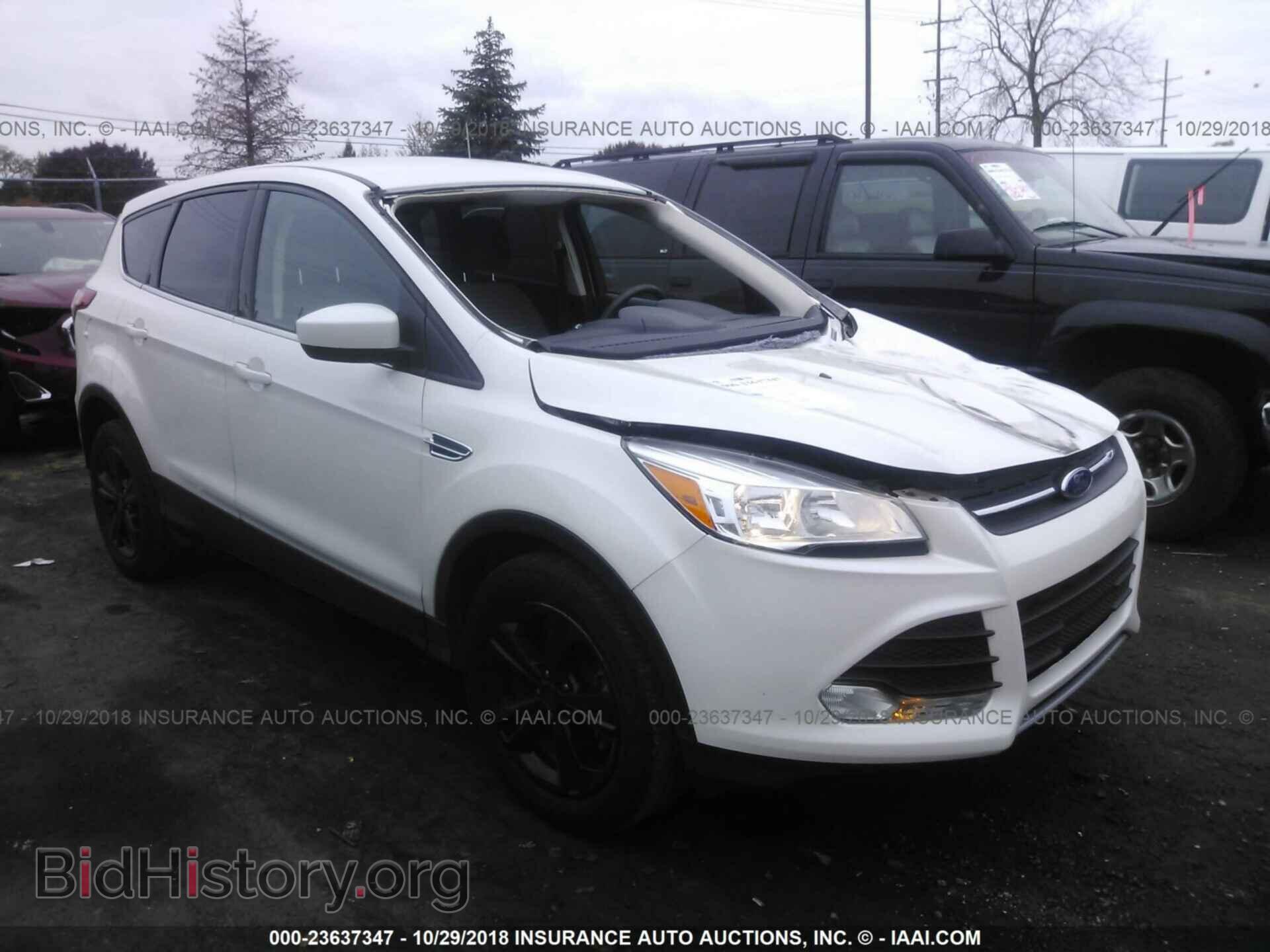 Фотография 1FMCU0GX4EUC74818 - FORD ESCAPE 2014