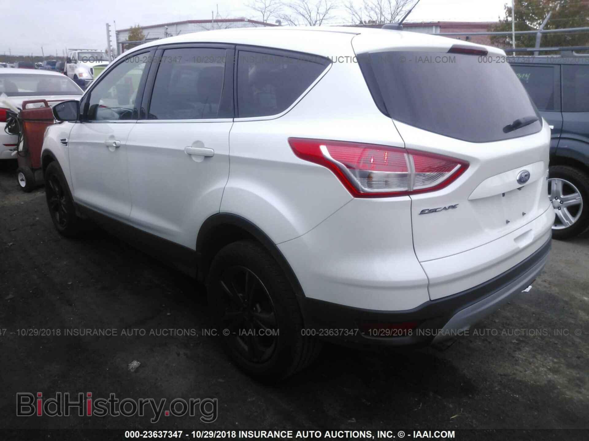 2014 FORD ESCAPE - VIN: 1FMCU0GX4EUC74818 - Photo 3