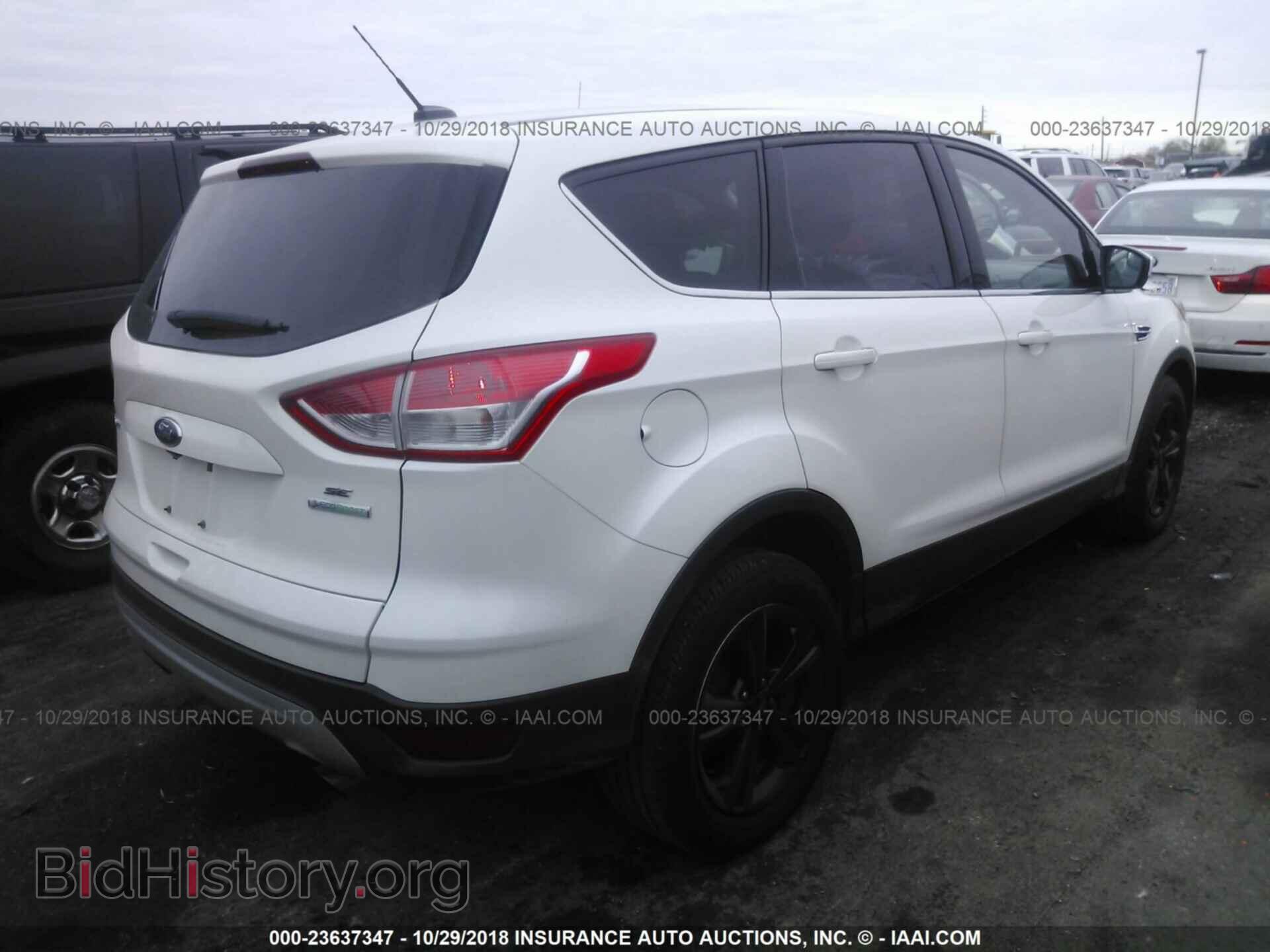 2014 FORD ESCAPE - VIN: 1FMCU0GX4EUC74818 - Photo 4