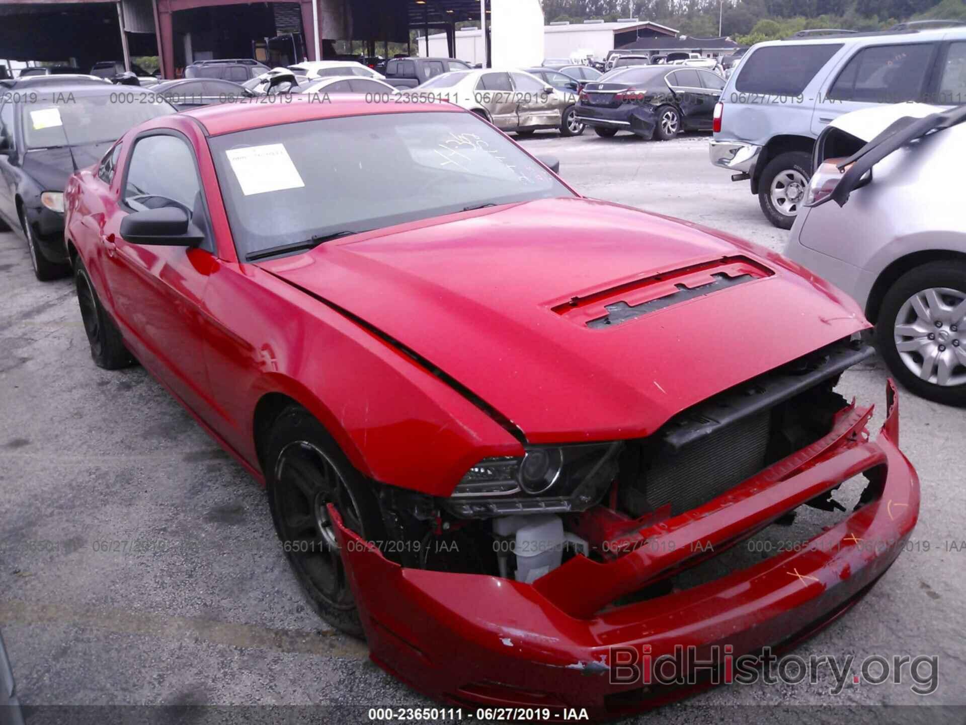Photo 1ZVBP8AMXD5277152 - FORD MUSTANG 2013
