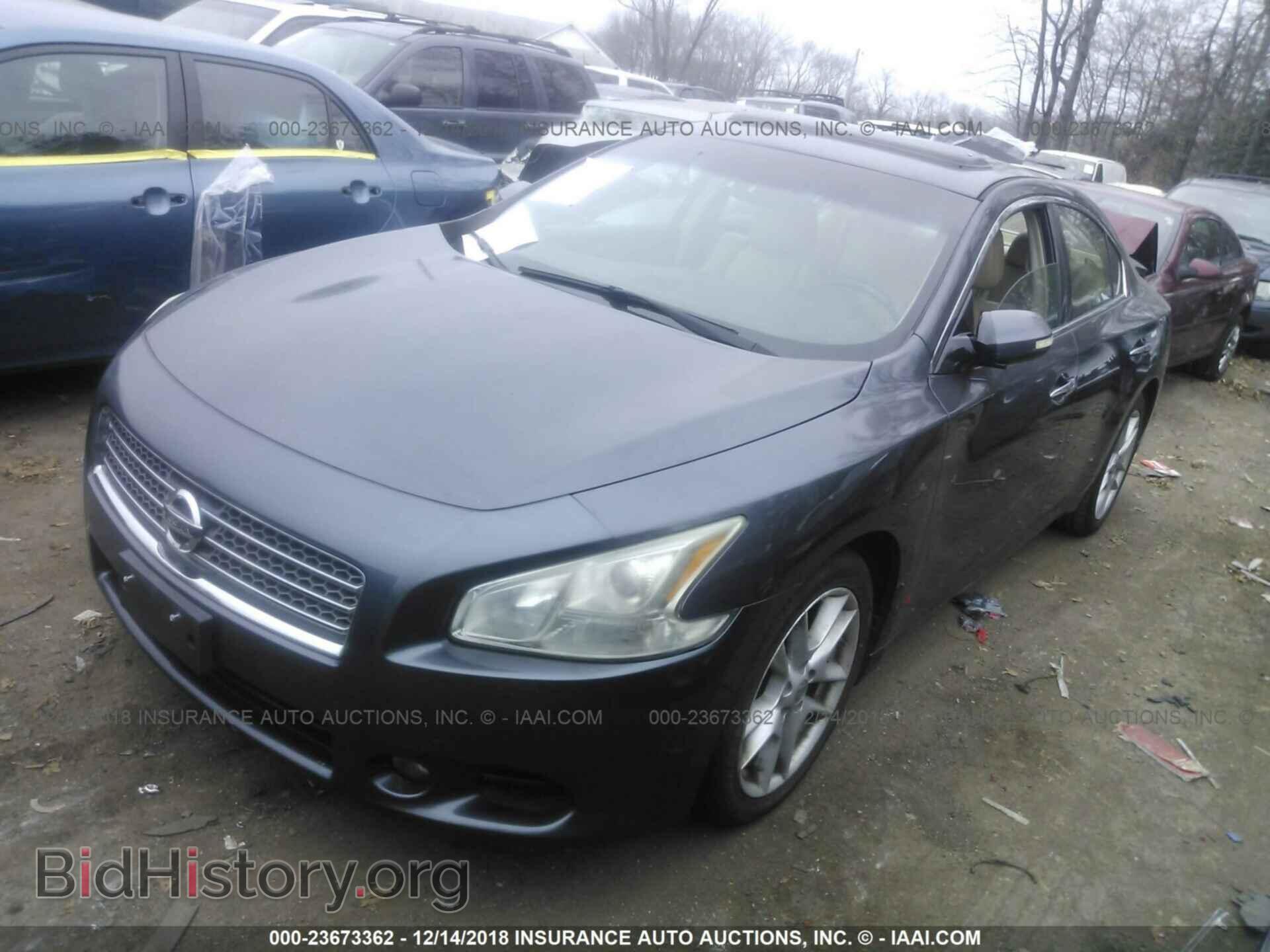 2010 NISSAN MAXIMA - VIN: 1N4AA5AP8AC809164 - Фото 2