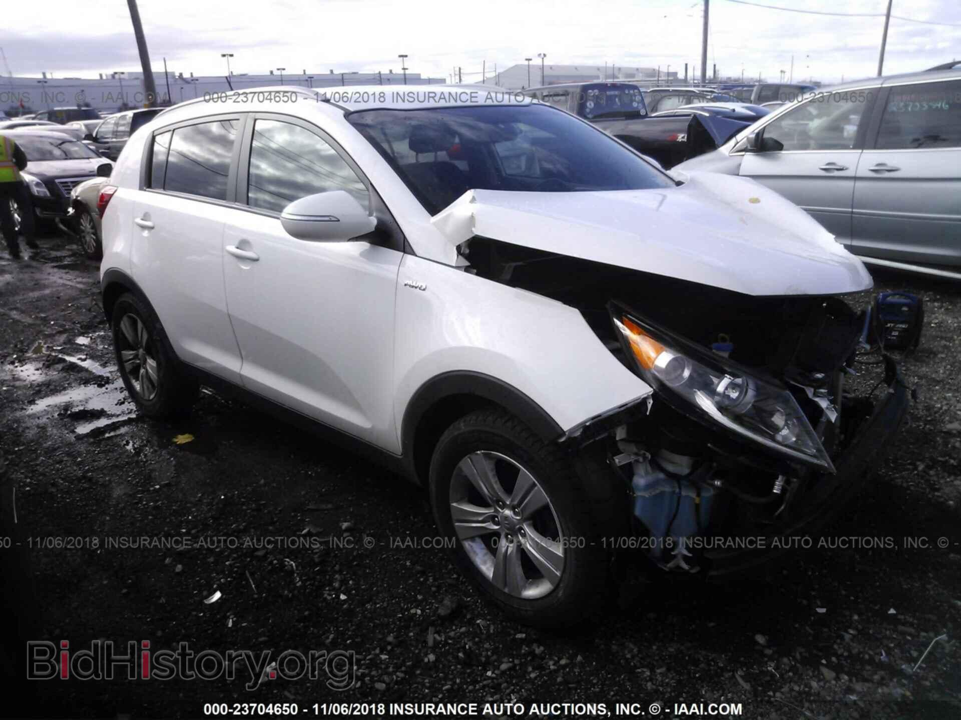 Фотография KNDPBCA21D7410376 - Kia Sportage 2013