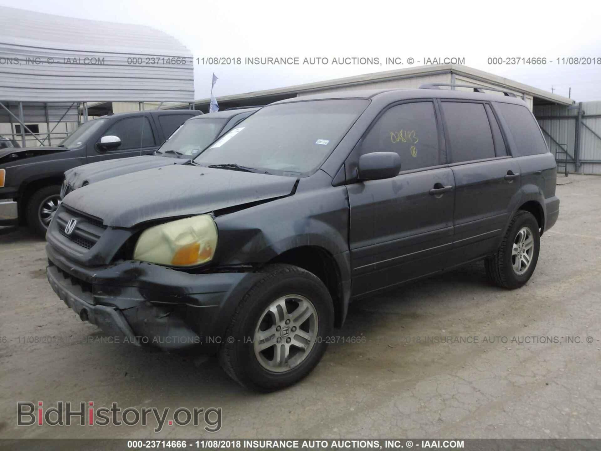 2005 HONDA PILOT - VIN: 5FNYF18485B028183 - Фото 2