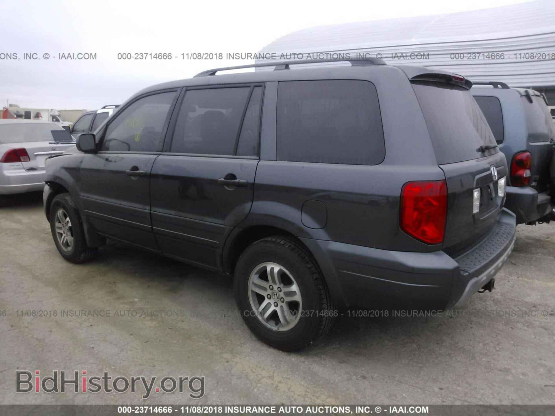 2005 HONDA PILOT - VIN: 5FNYF18485B028183 - Фото 3
