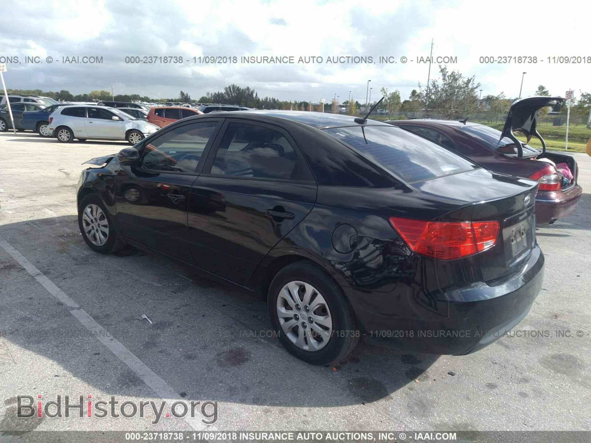 2012 KIA FORTE - VIN: KNAFU4A28C5562786 - Фото 3