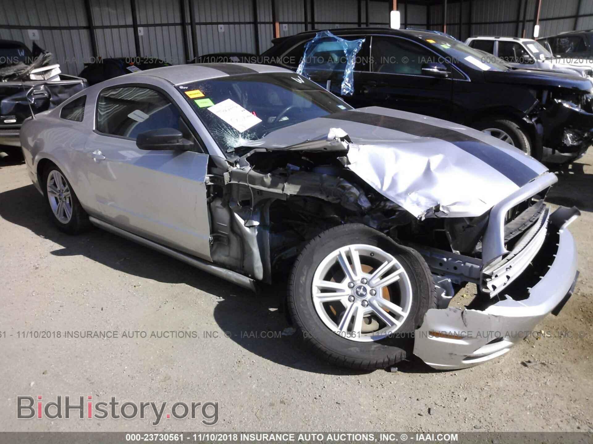 Фотография 1ZVBP8AM8E5266040 - FORD MUSTANG 2014