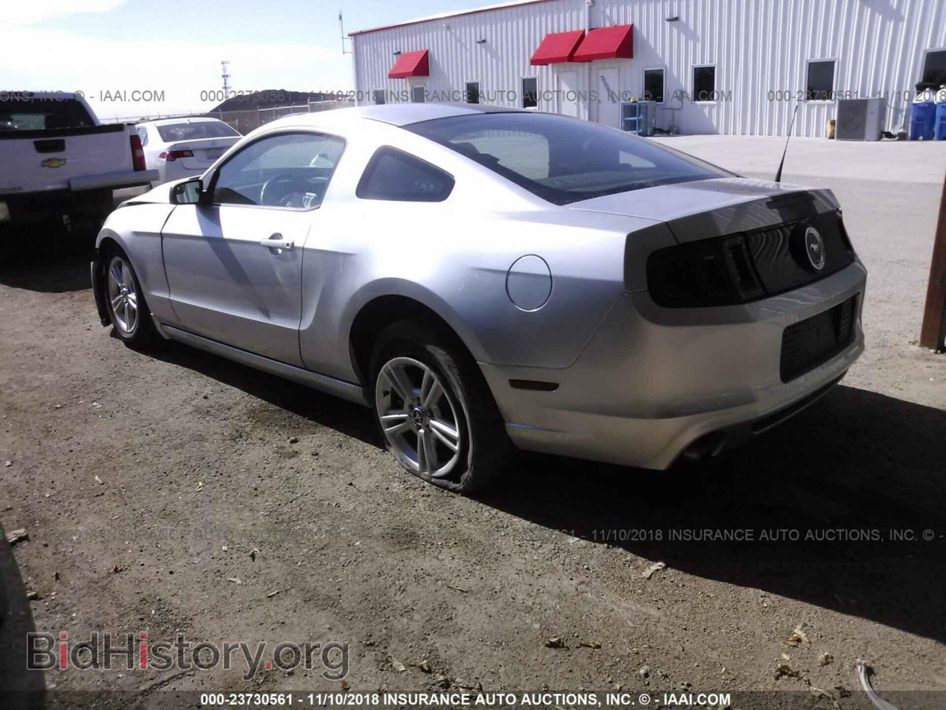 2014 FORD MUSTANG - VIN: 1ZVBP8AM8E5266040 - Фото 3