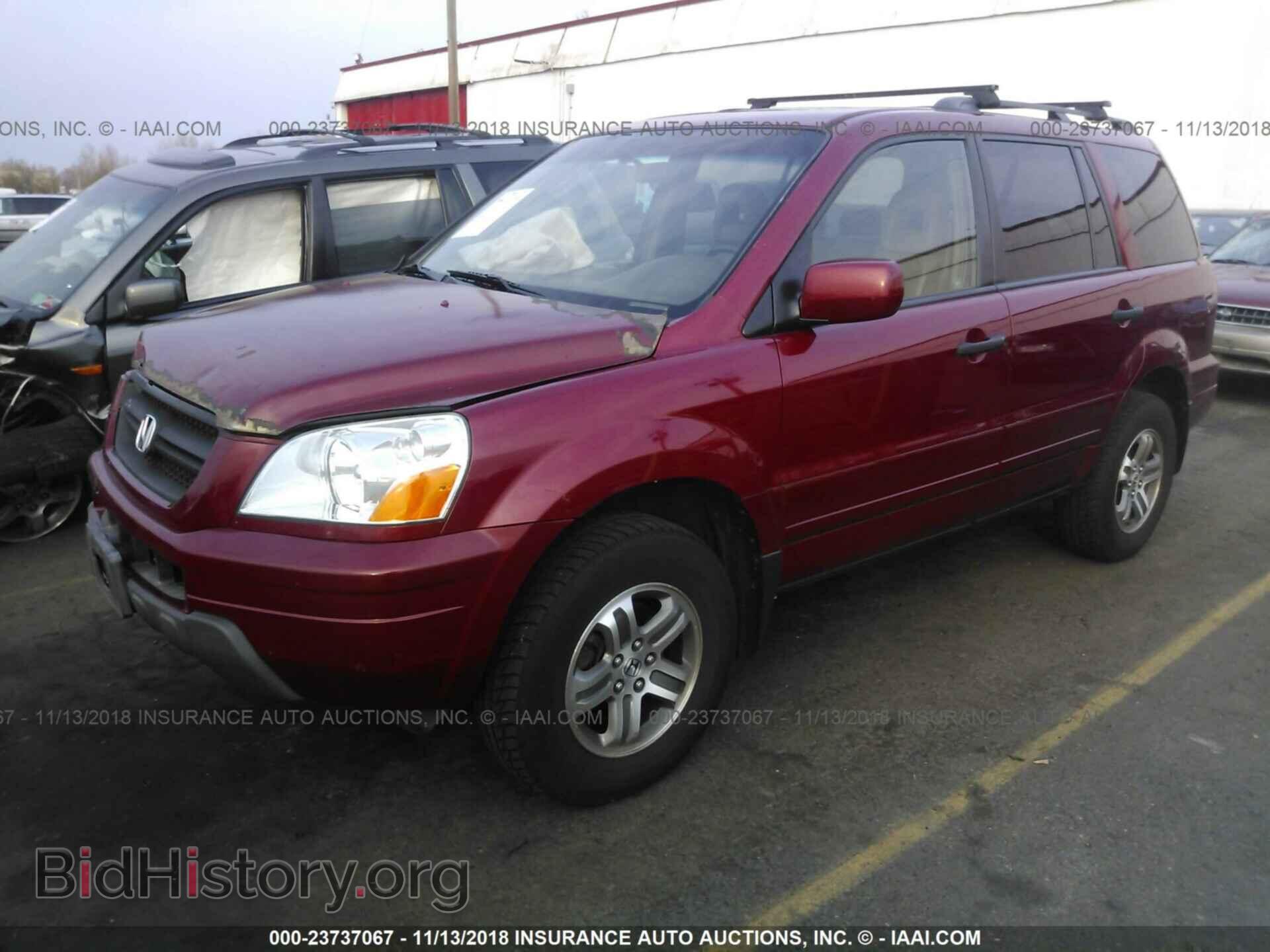 2005 HONDA PILOT - VIN: 2HKYF18565H523072 - Фото 2