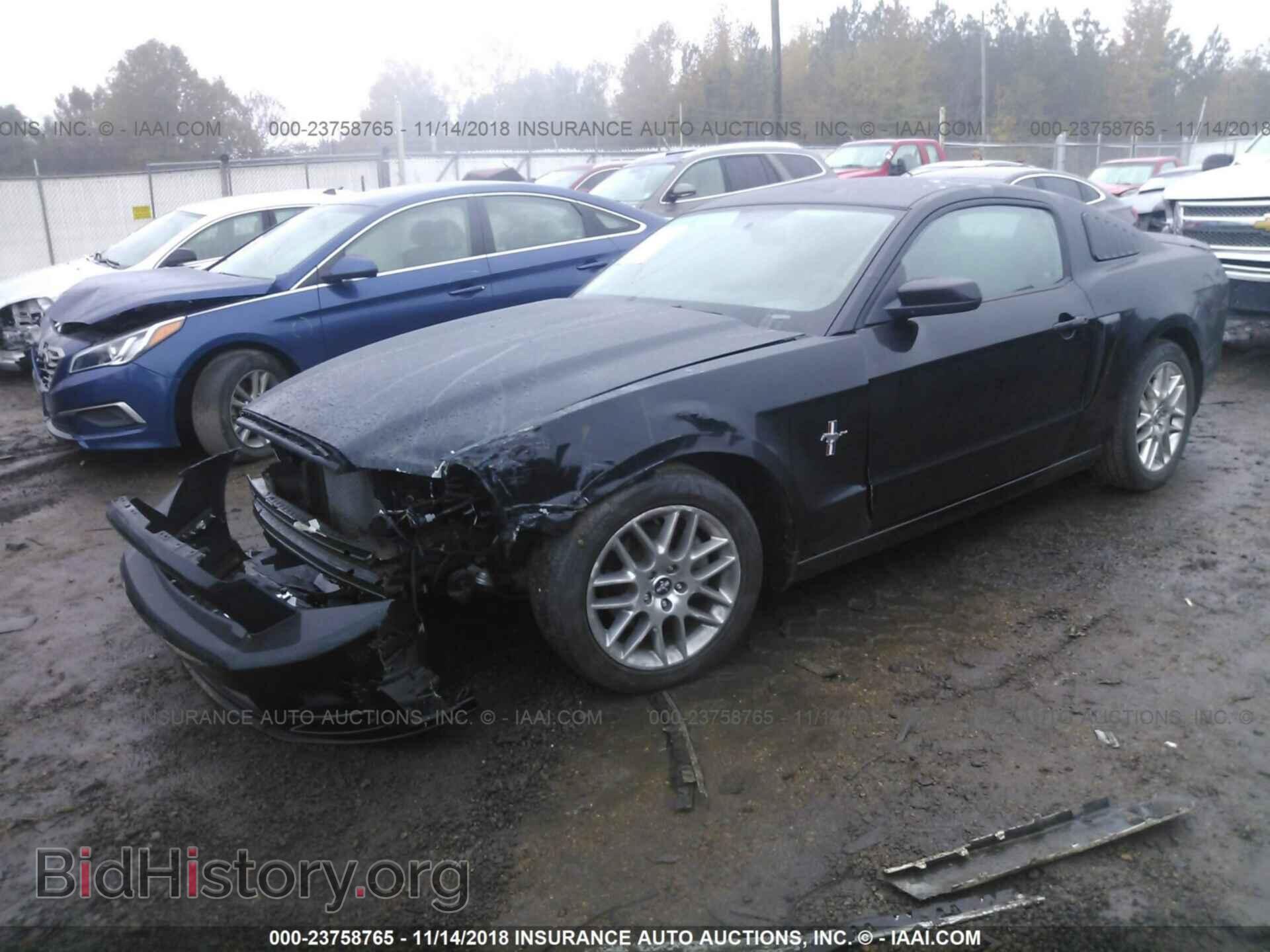 2013 Ford Mustang - VIN: 1ZVBP8AM7D5251978 - Фото 2