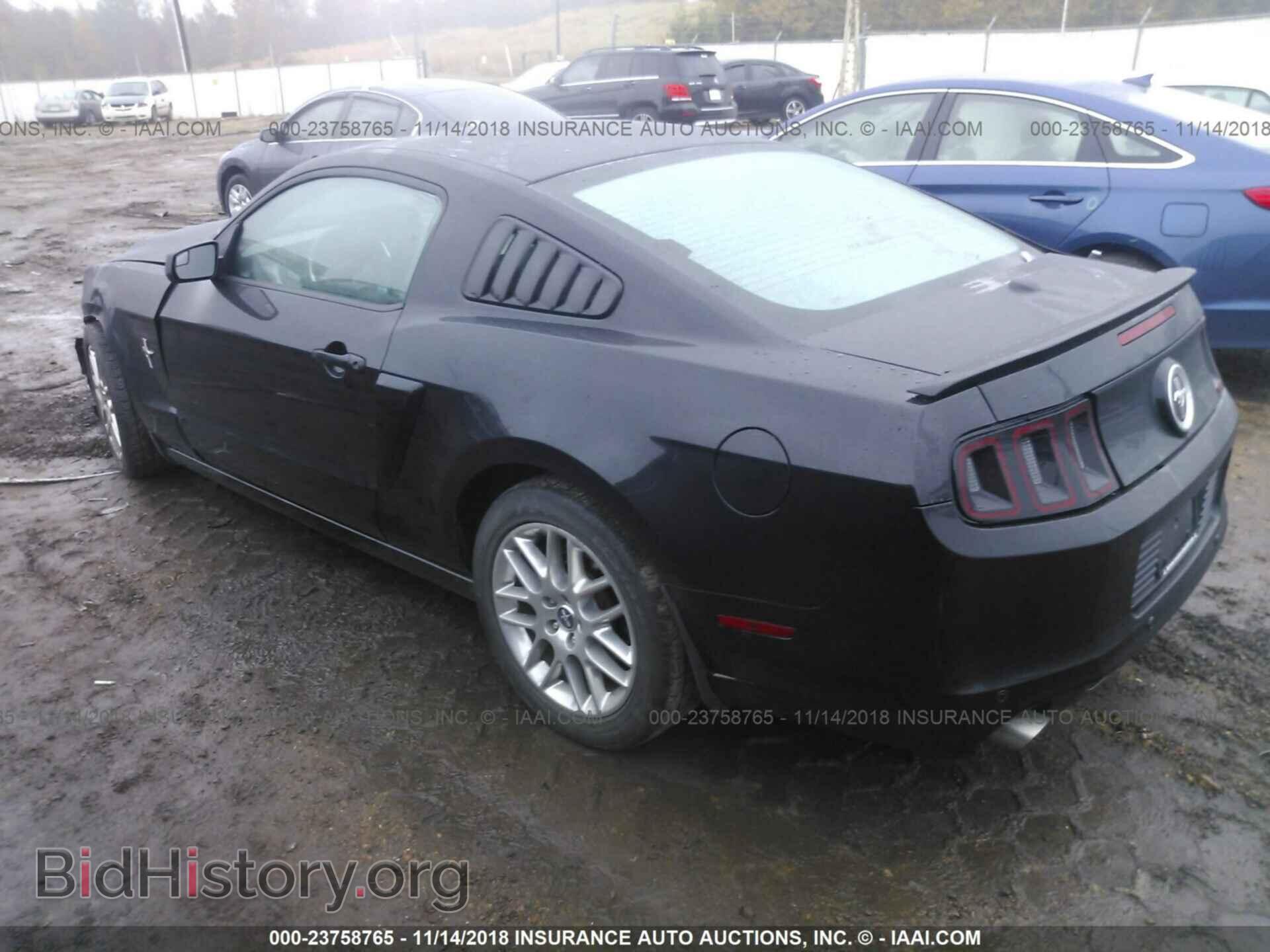 2013 Ford Mustang - VIN: 1ZVBP8AM7D5251978 - Фото 3