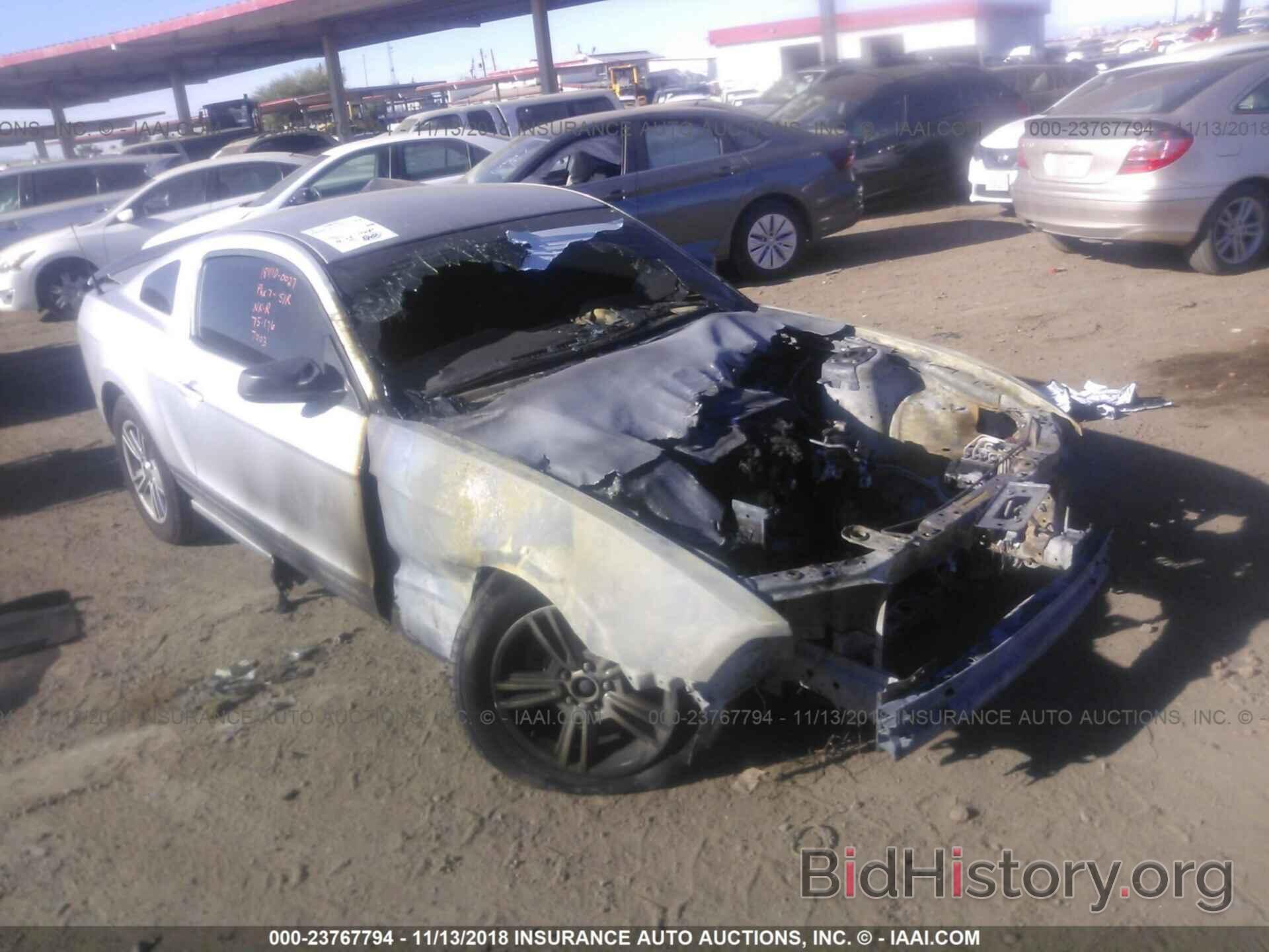 Photo 1ZVBP8AM7D5227003 - FORD MUSTANG 2013