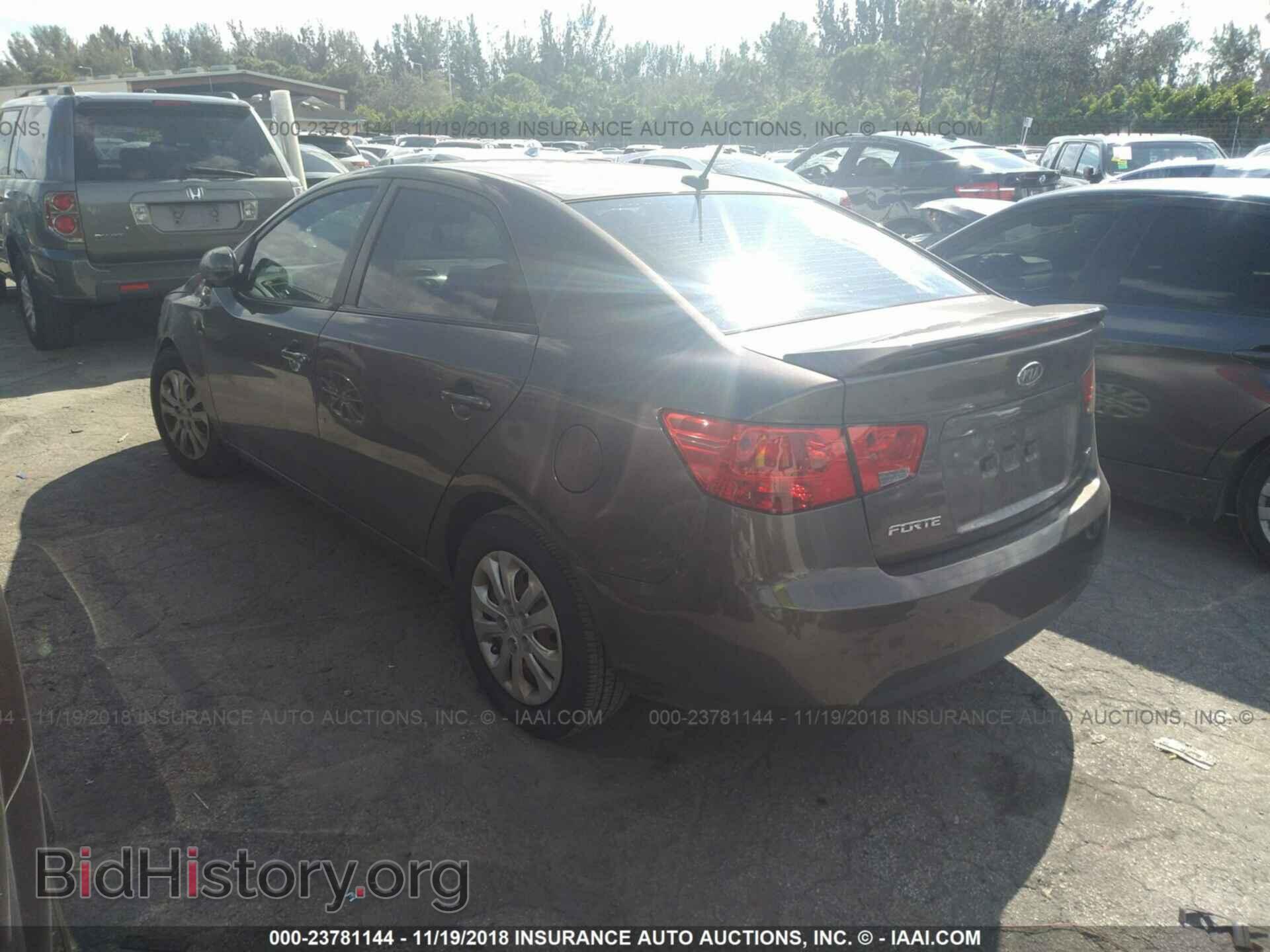 2013 KIA FORTE - VIN: KNAFU4A20D5724489 - Фото 3