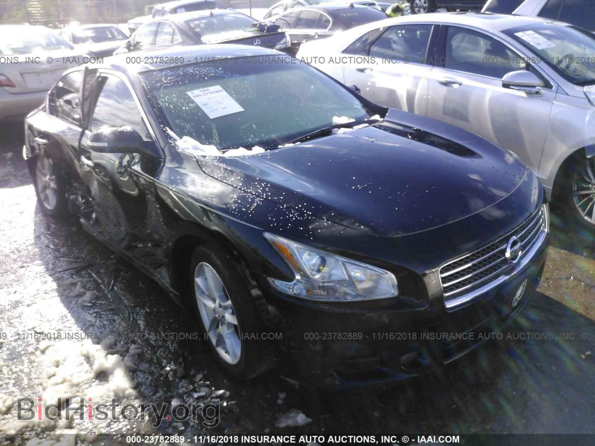 Photo 1N4AA5AP9BC861131 - Nissan Maxima 2011