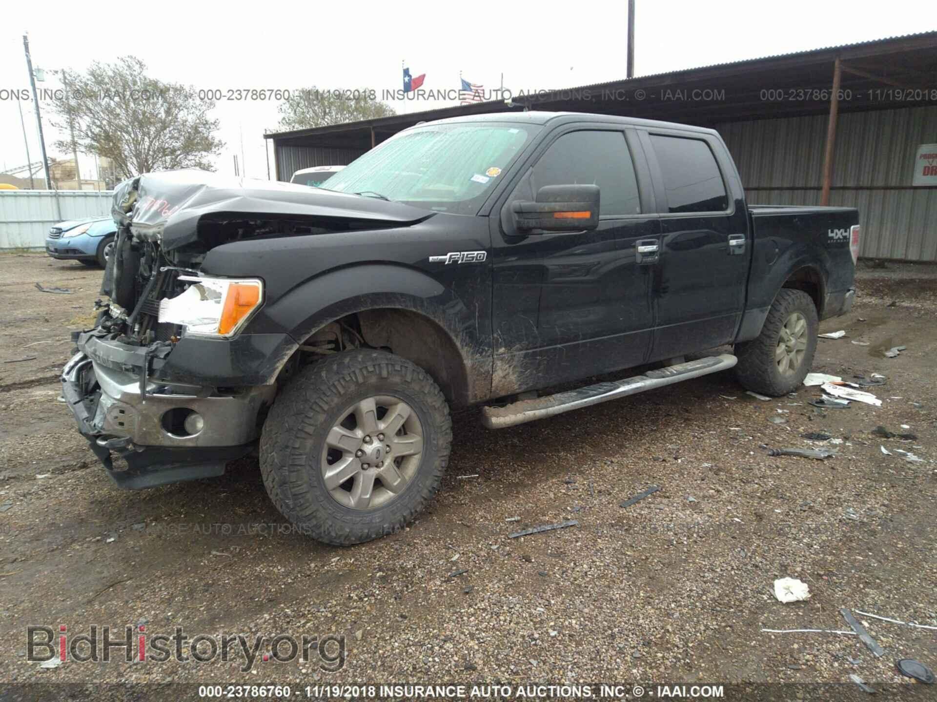 2013 FORD F150 - VIN: 1FTFW1EF3DKD64676 - Фото 2