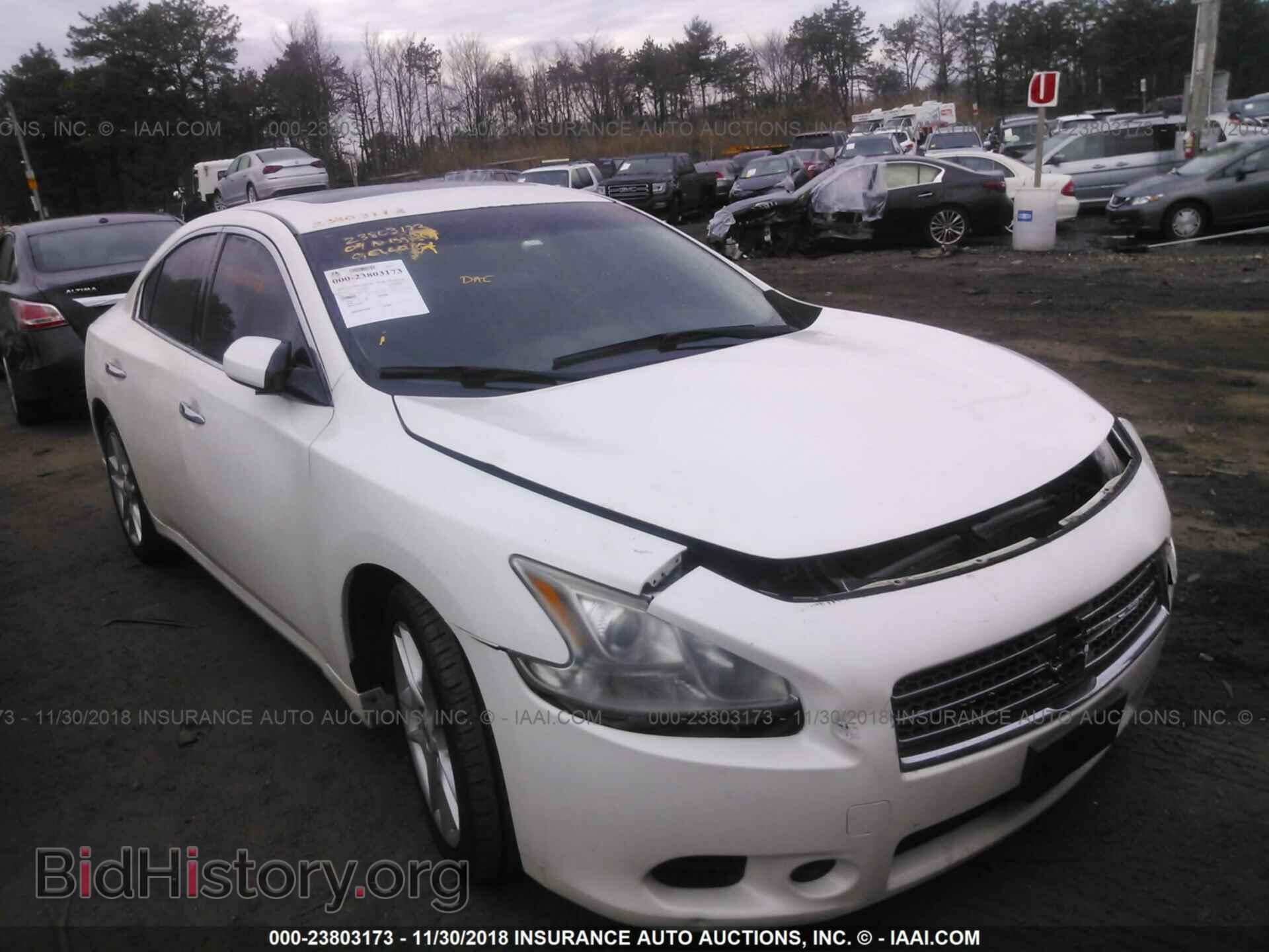 Photo 1N4AA51EX9C846484 - NISSAN MAXIMA 2009