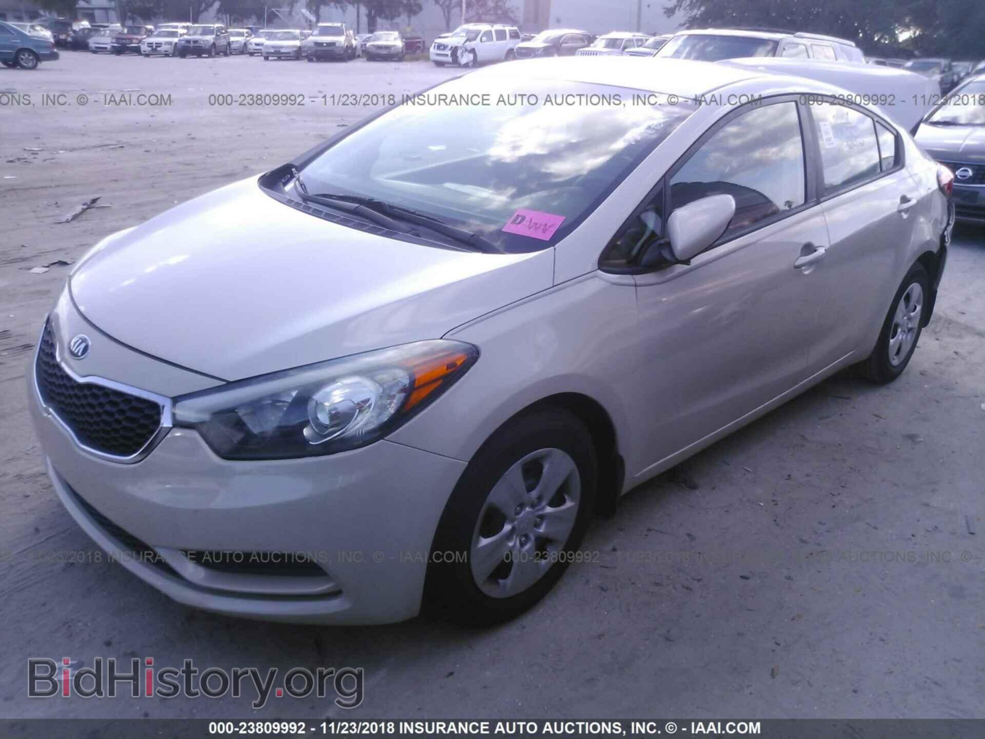 2014 KIA FORTE - VIN: KNAFK4A67E5253077 - Фото 2