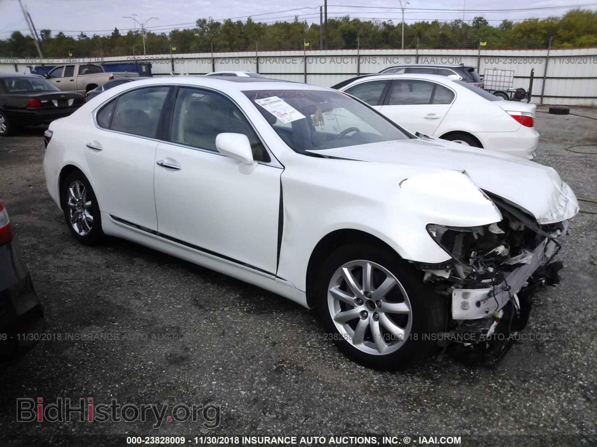 Фотография JTHBL46F995087902 - LEXUS LS 2009