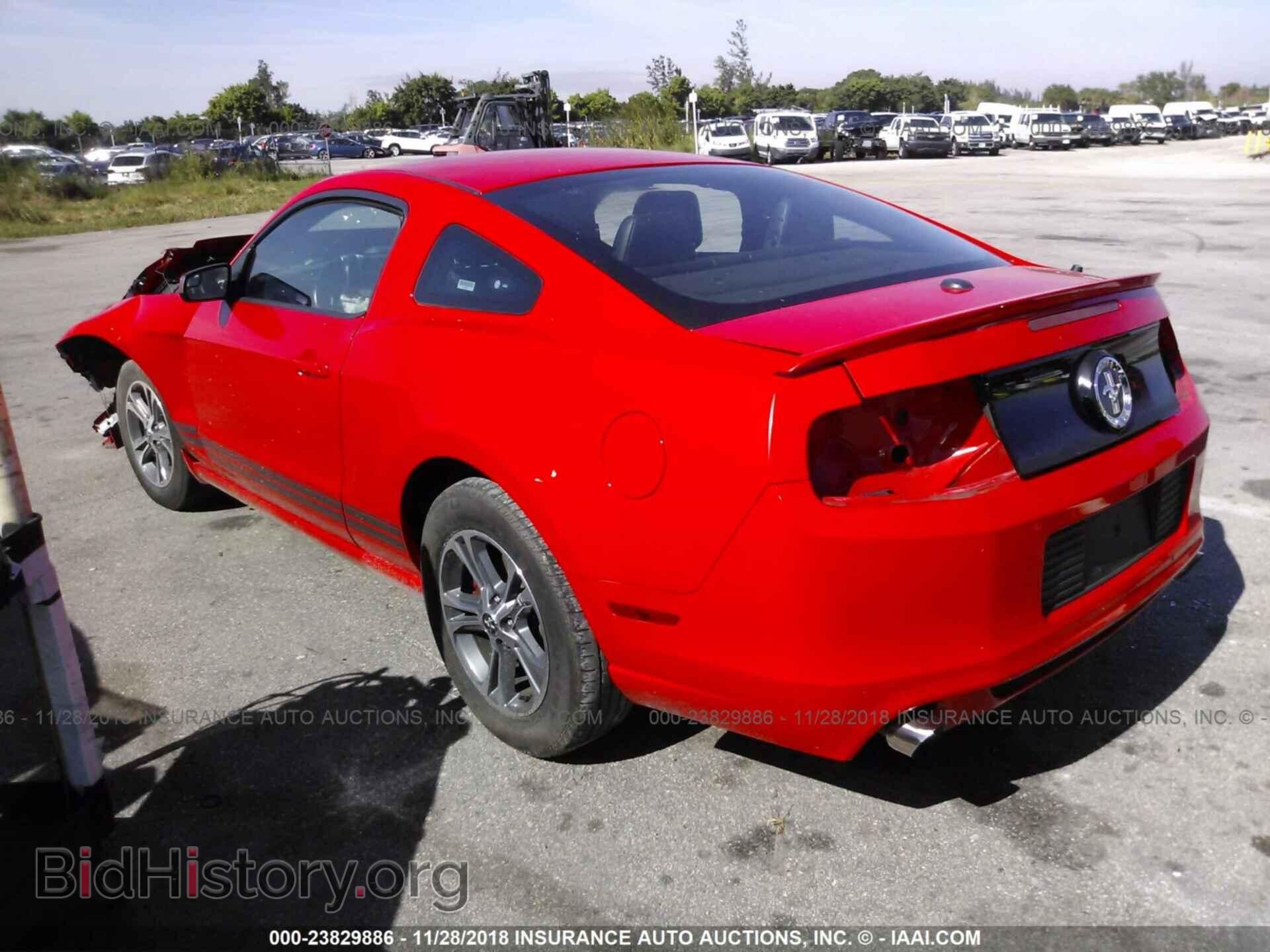 2014 FORD MUSTANG - VIN: 1ZVBP8AM2E5232501 - Фото 3