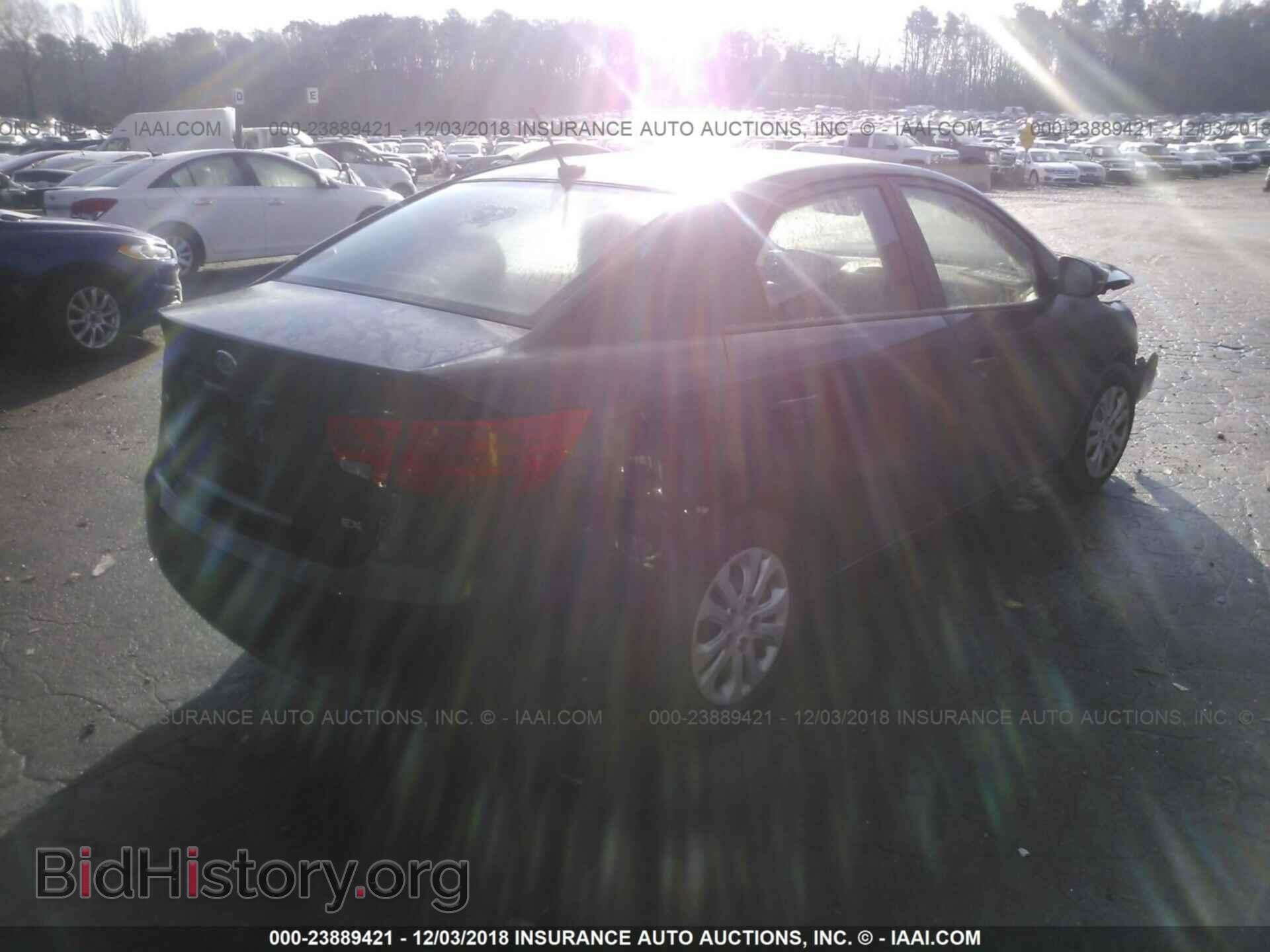 2013 KIA FORTE - VIN: KNAFU4A29D5671677 - Фото 4