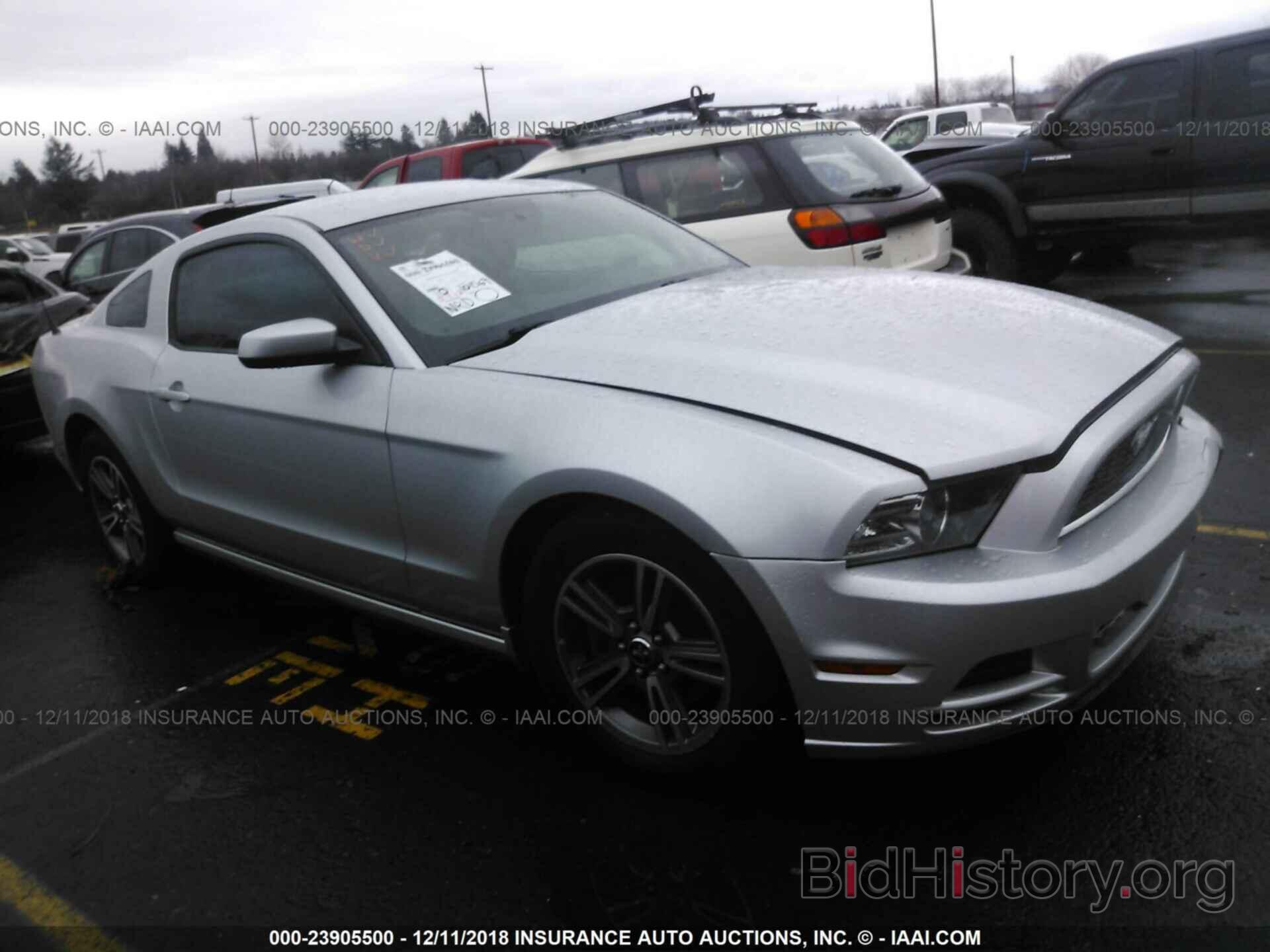 Photo 1ZVBP8AM3D5233879 - FORD MUSTANG 2013