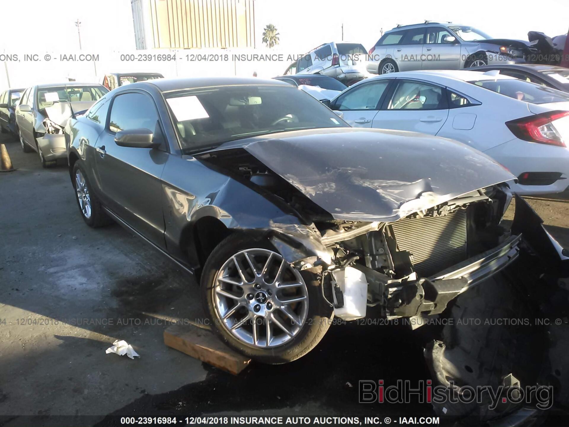Photo 1ZVBP8AM1D5262457 - FORD MUSTANG 2013