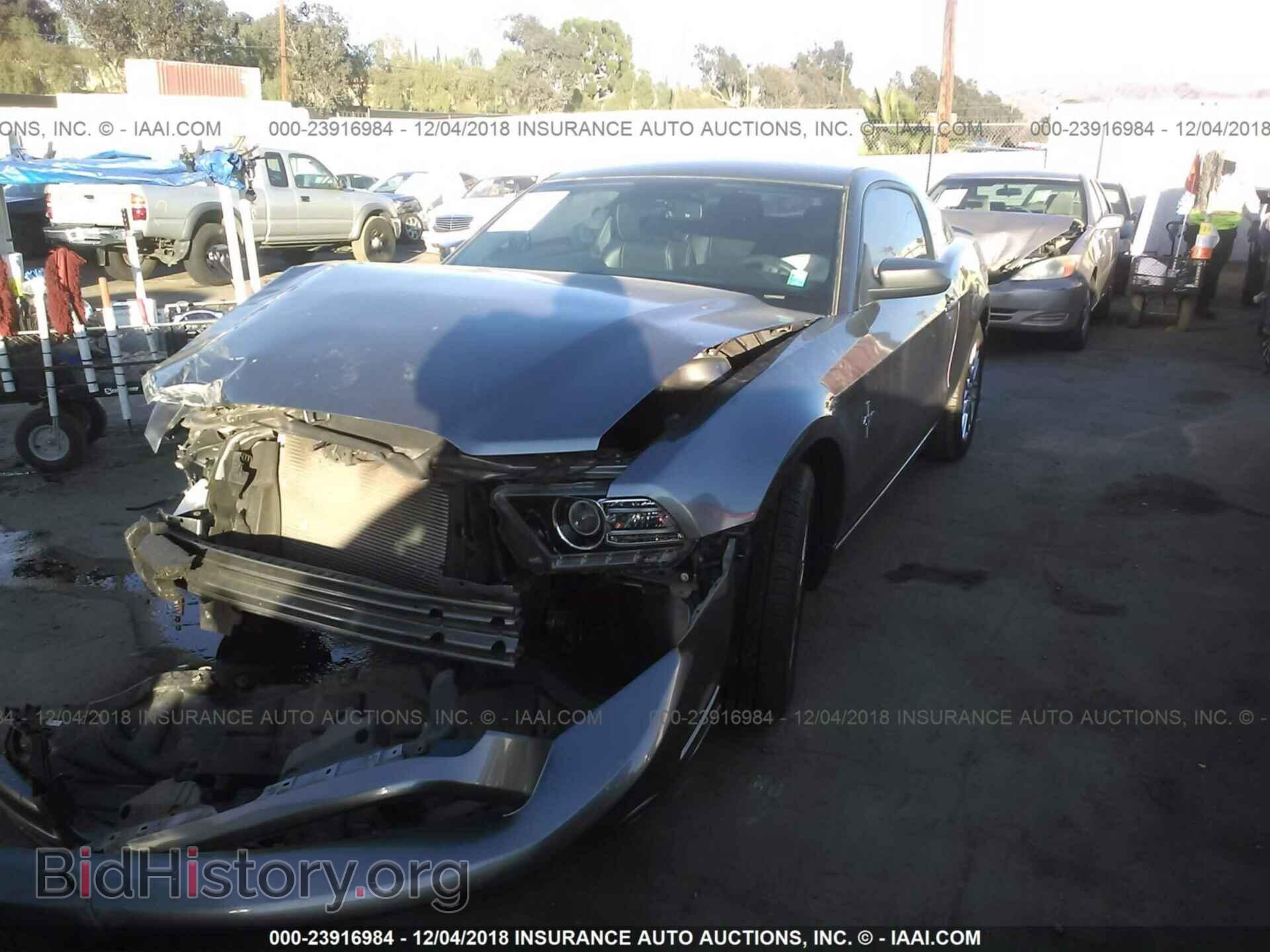 2013 FORD MUSTANG - VIN: 1ZVBP8AM1D5262457 - Фото 2