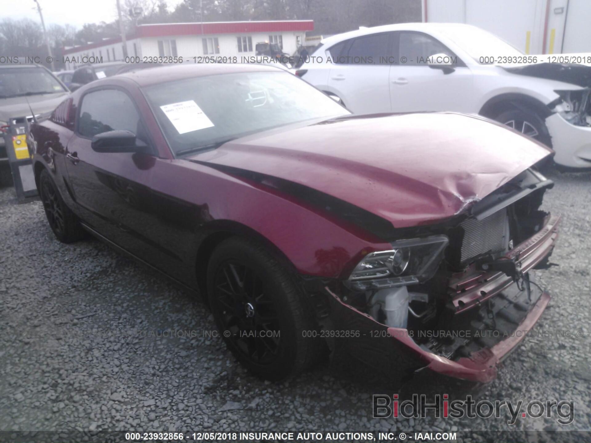 Photo 1ZVBP8AM8E5308111 - FORD MUSTANG 2014