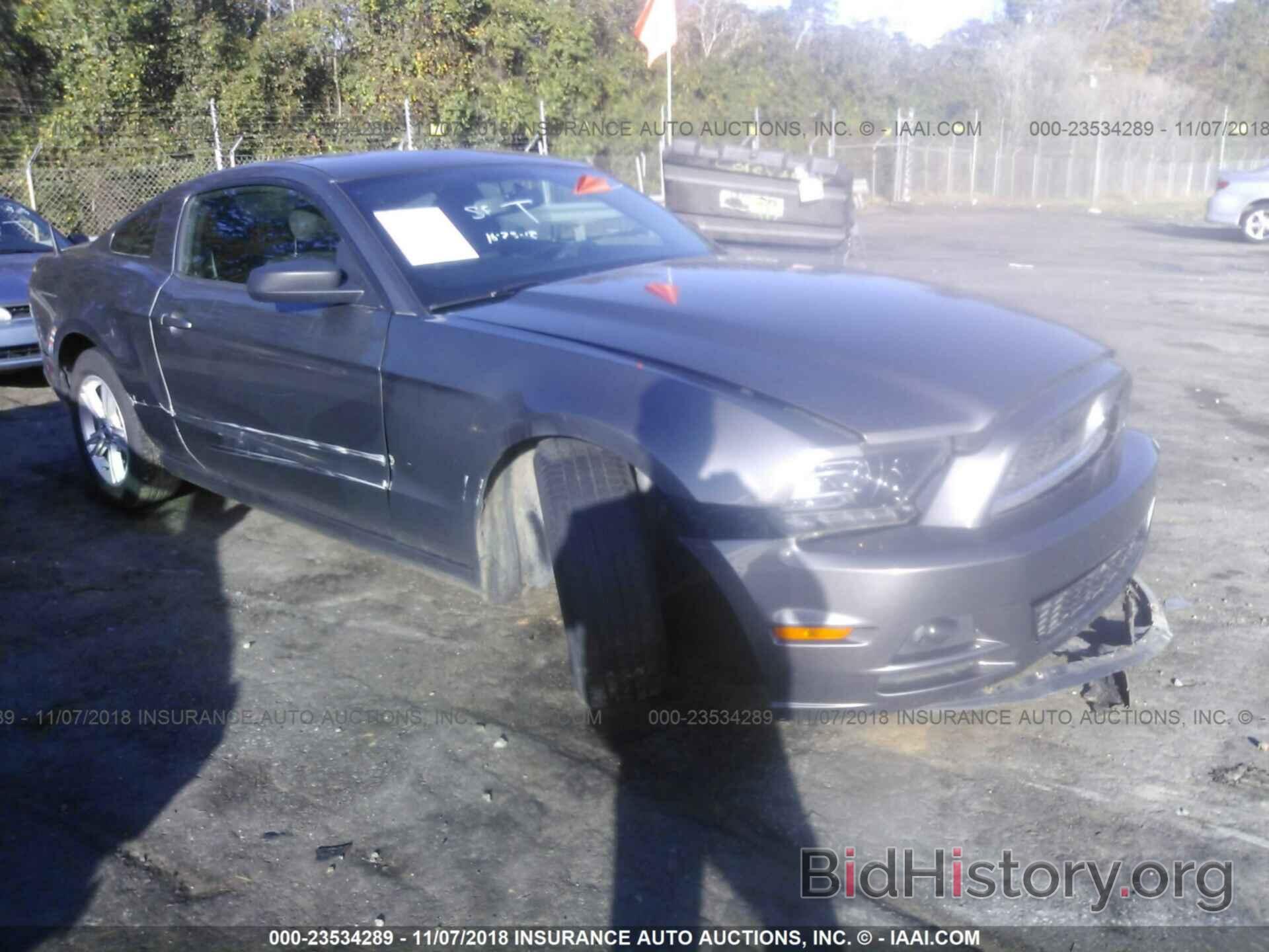 Photo 1ZVBP8AM0E5282605 - FORD MUSTANG 2014