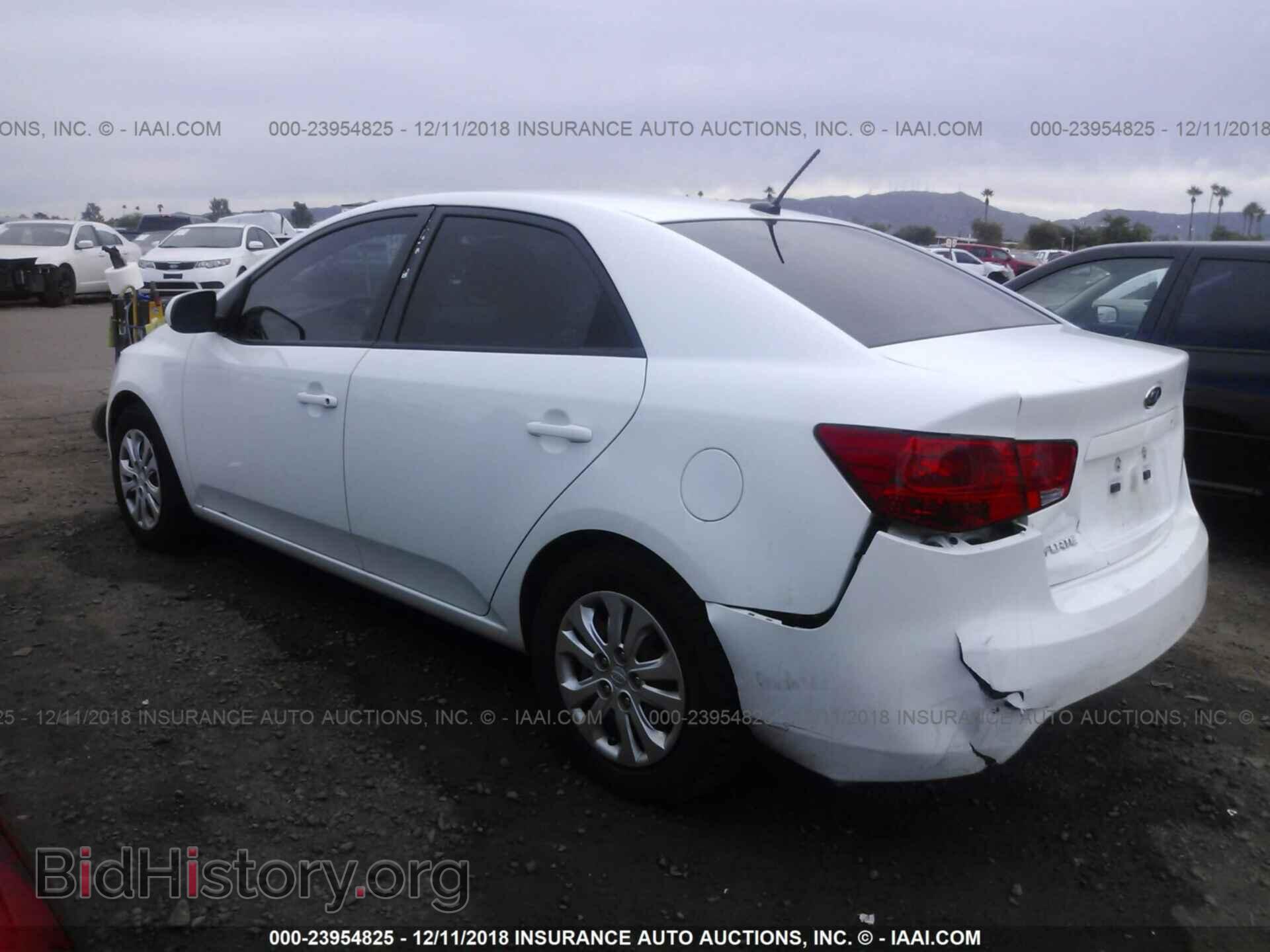 2013 KIA FORTE - VIN: KNAFT4A28D5721746 - Фото 3