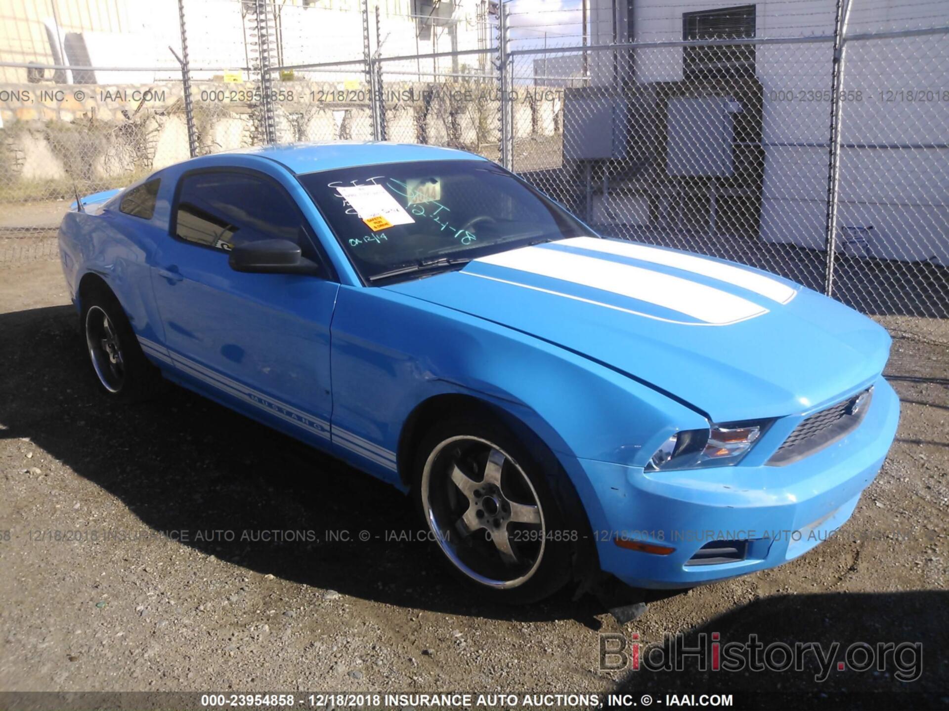 Photo 1ZVBP8AMXC5247356 - FORD MUSTANG 2012